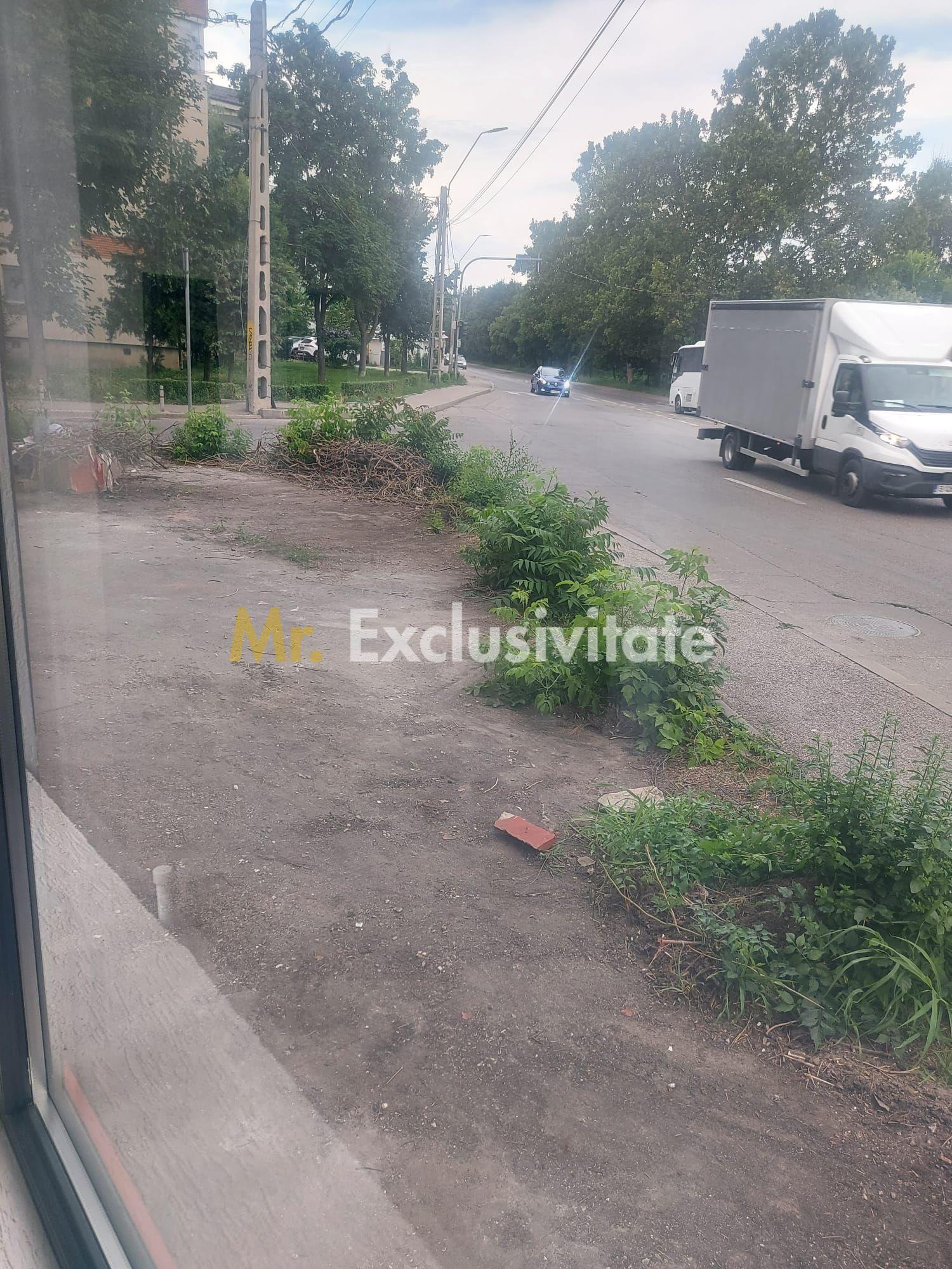De închiriat -Spatiu Stradal, zona semicentrala, str Raurilor- Pitesti - 8