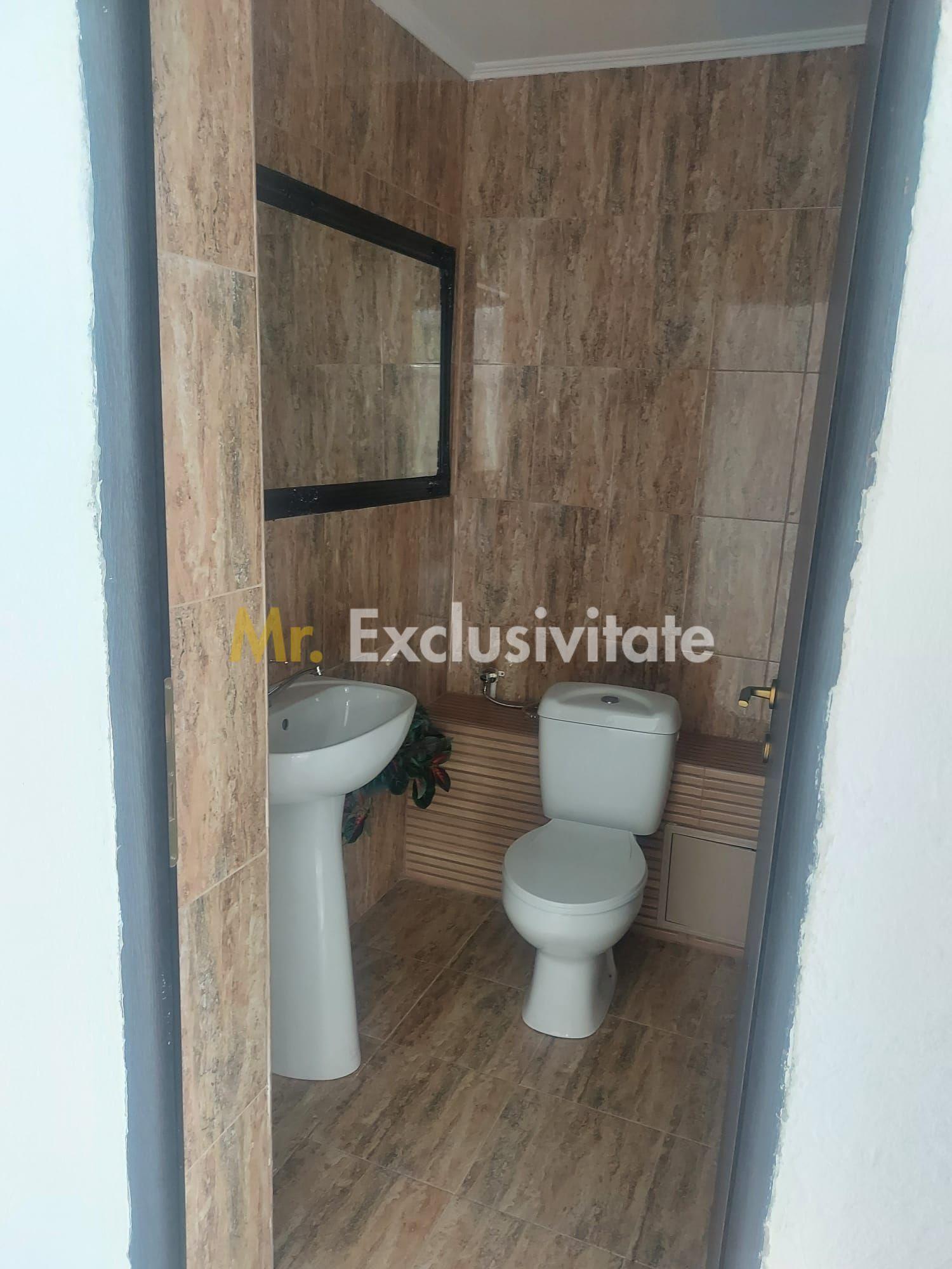 De închiriat -Spatiu Stradal, zona semicentrala, str Raurilor- Pitesti - 10