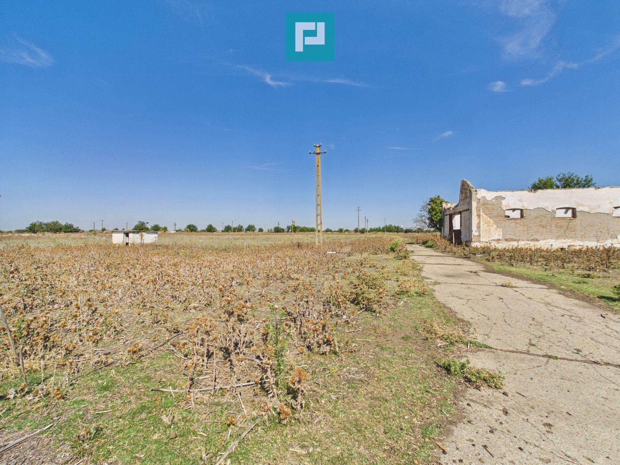 Teren intravilan 146.866 mp | Jimbolia - 12