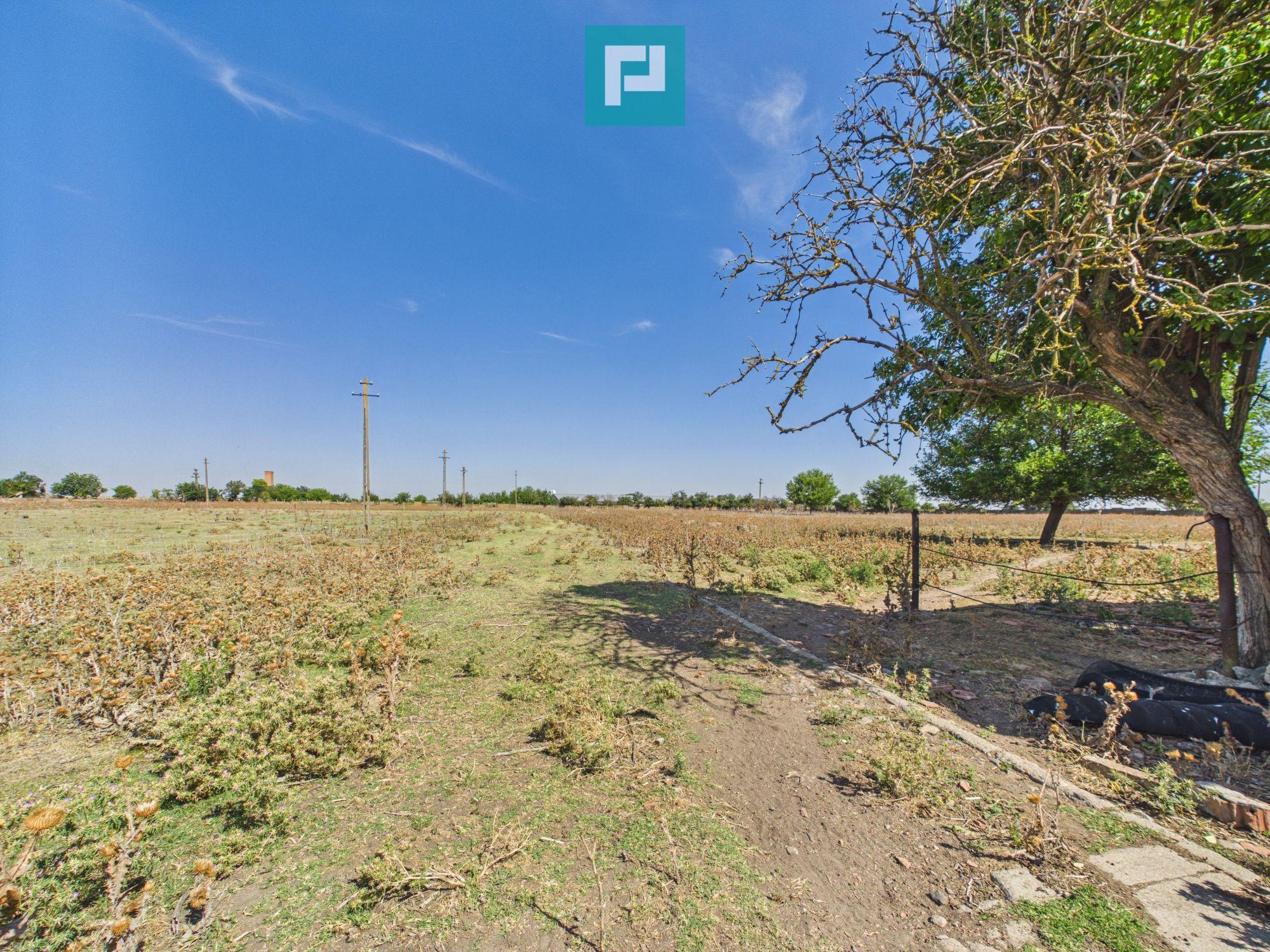 Teren intravilan 146.866 mp | Jimbolia - 13