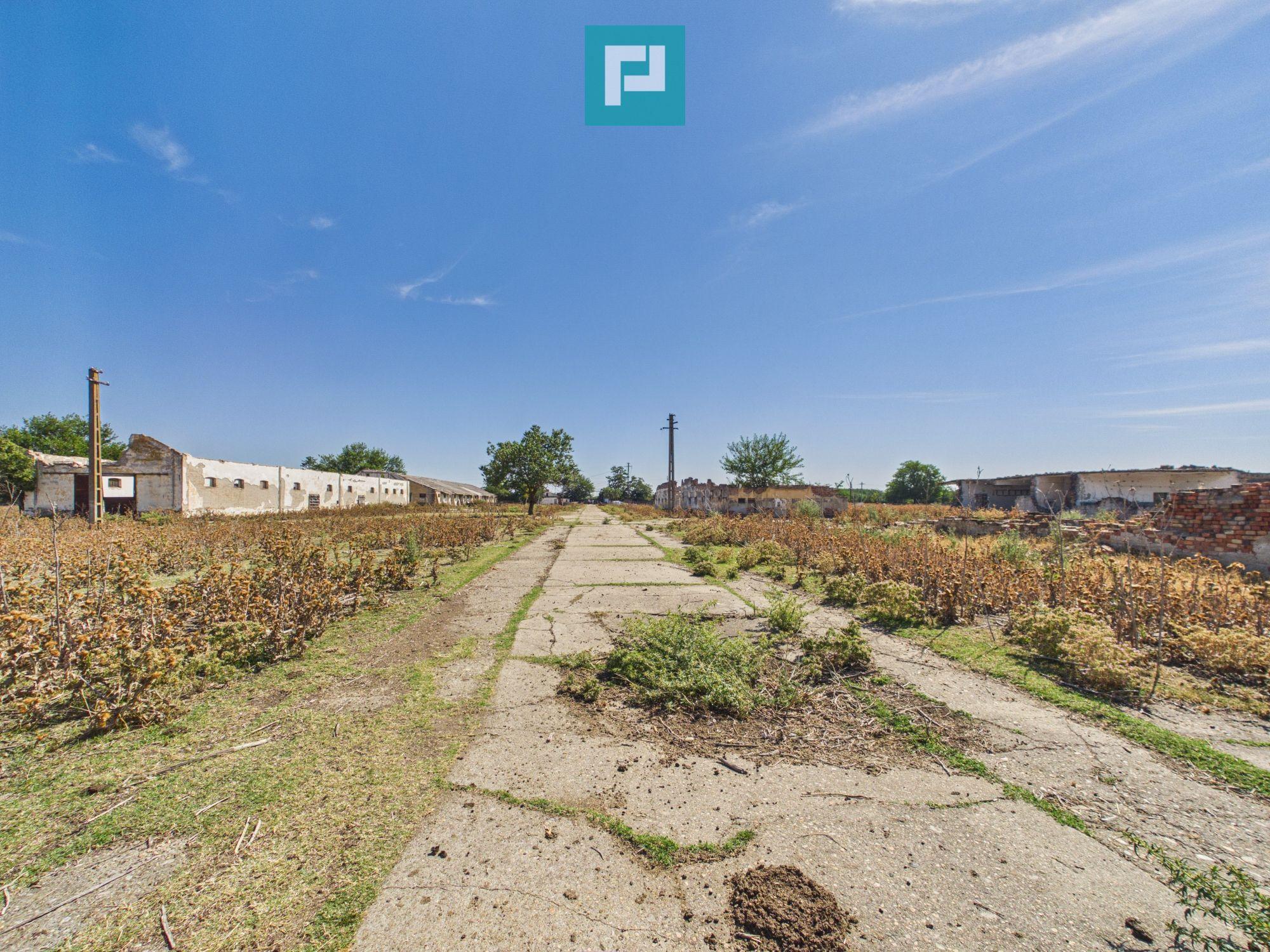 Teren intravilan 146.866 mp | Jimbolia - 15