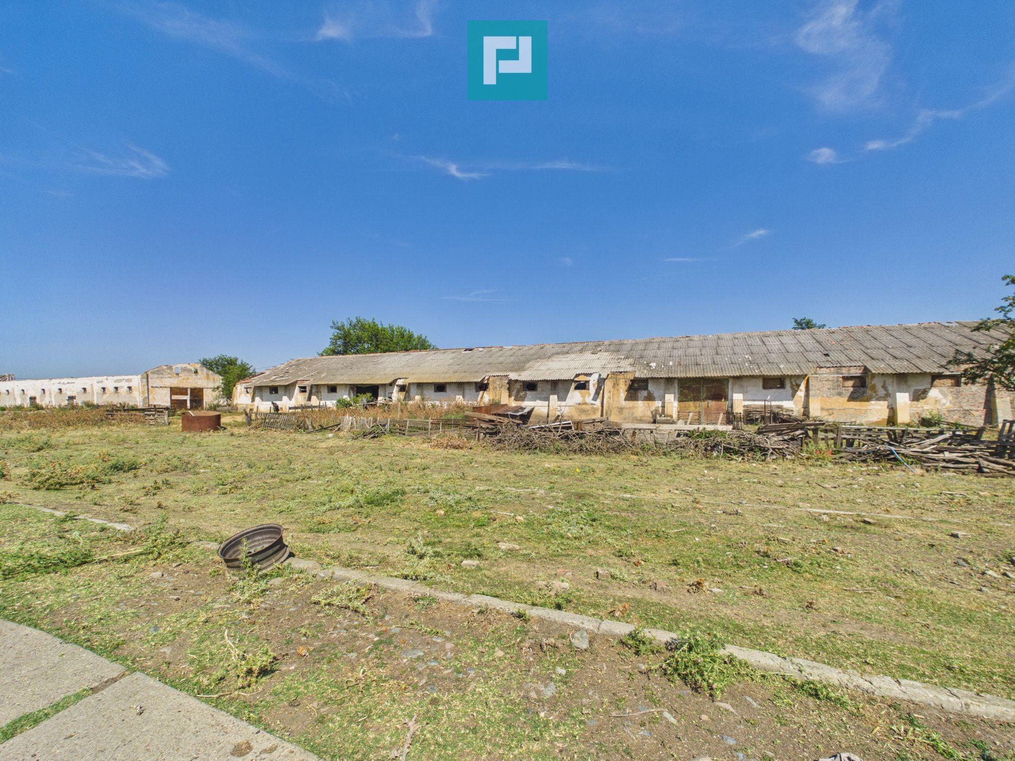 Teren intravilan 146.866 mp | Jimbolia - 10