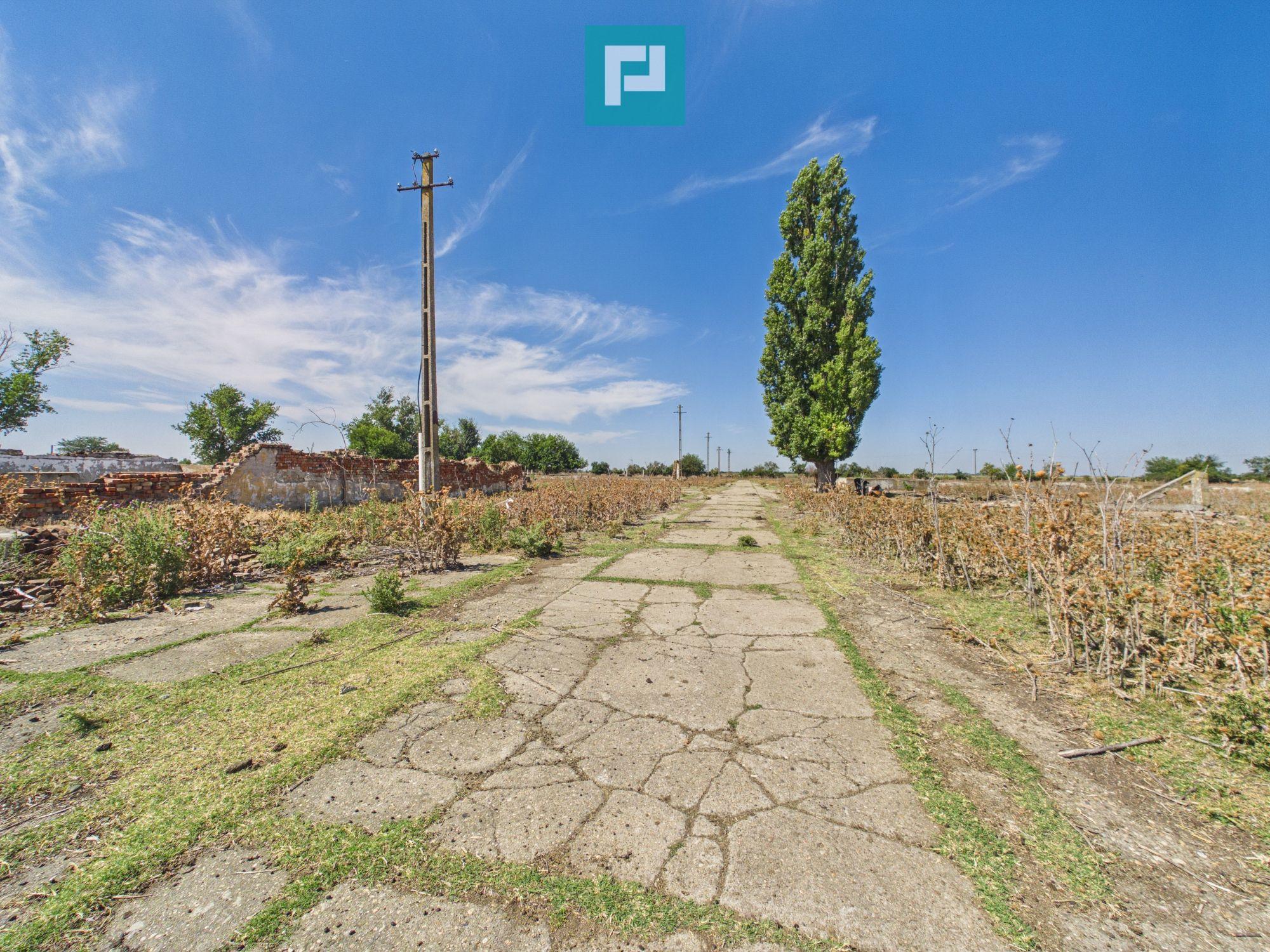 Teren intravilan 146.866 mp | Jimbolia - 14