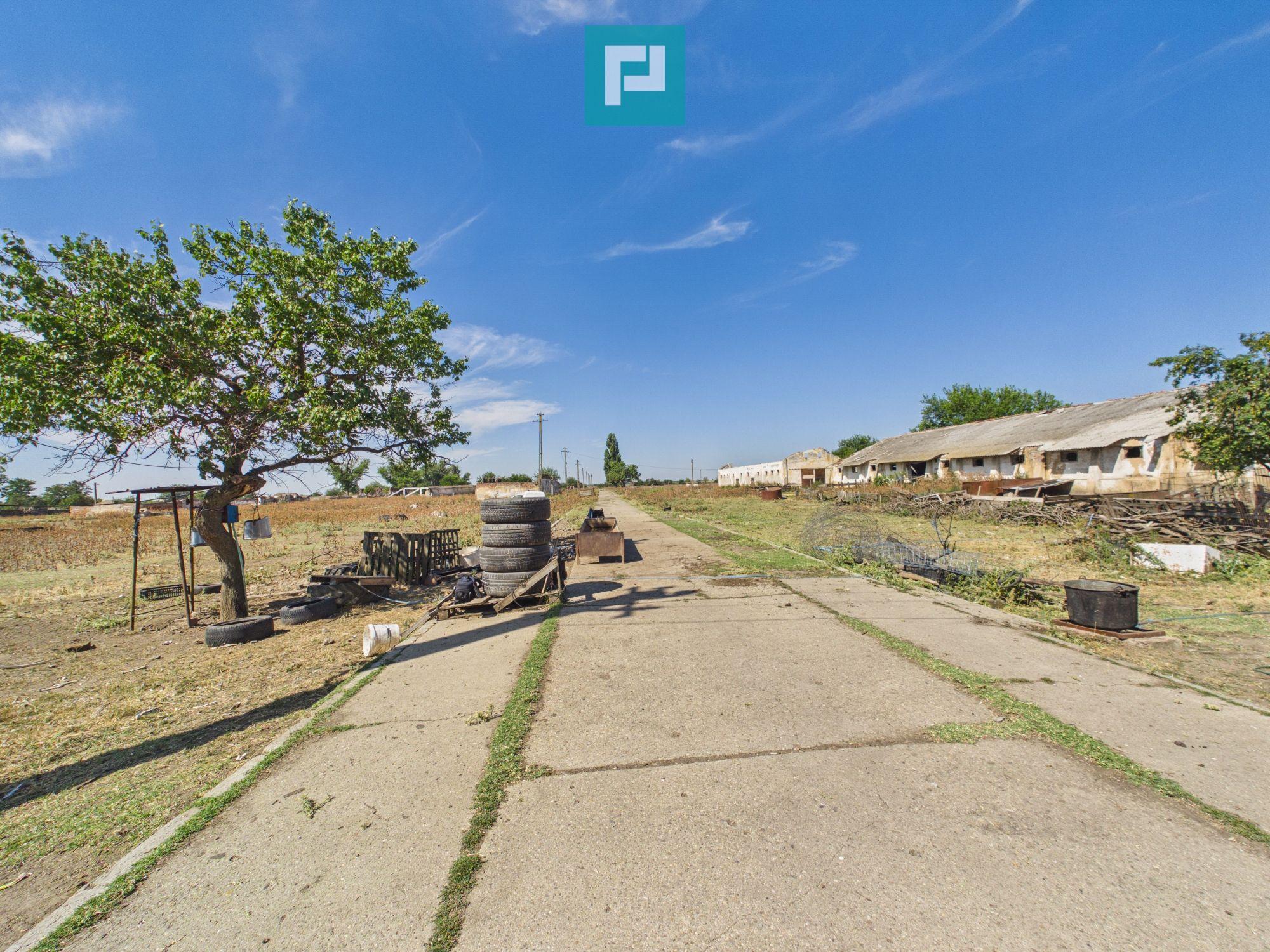 Teren intravilan 146.866 mp | Jimbolia - 8