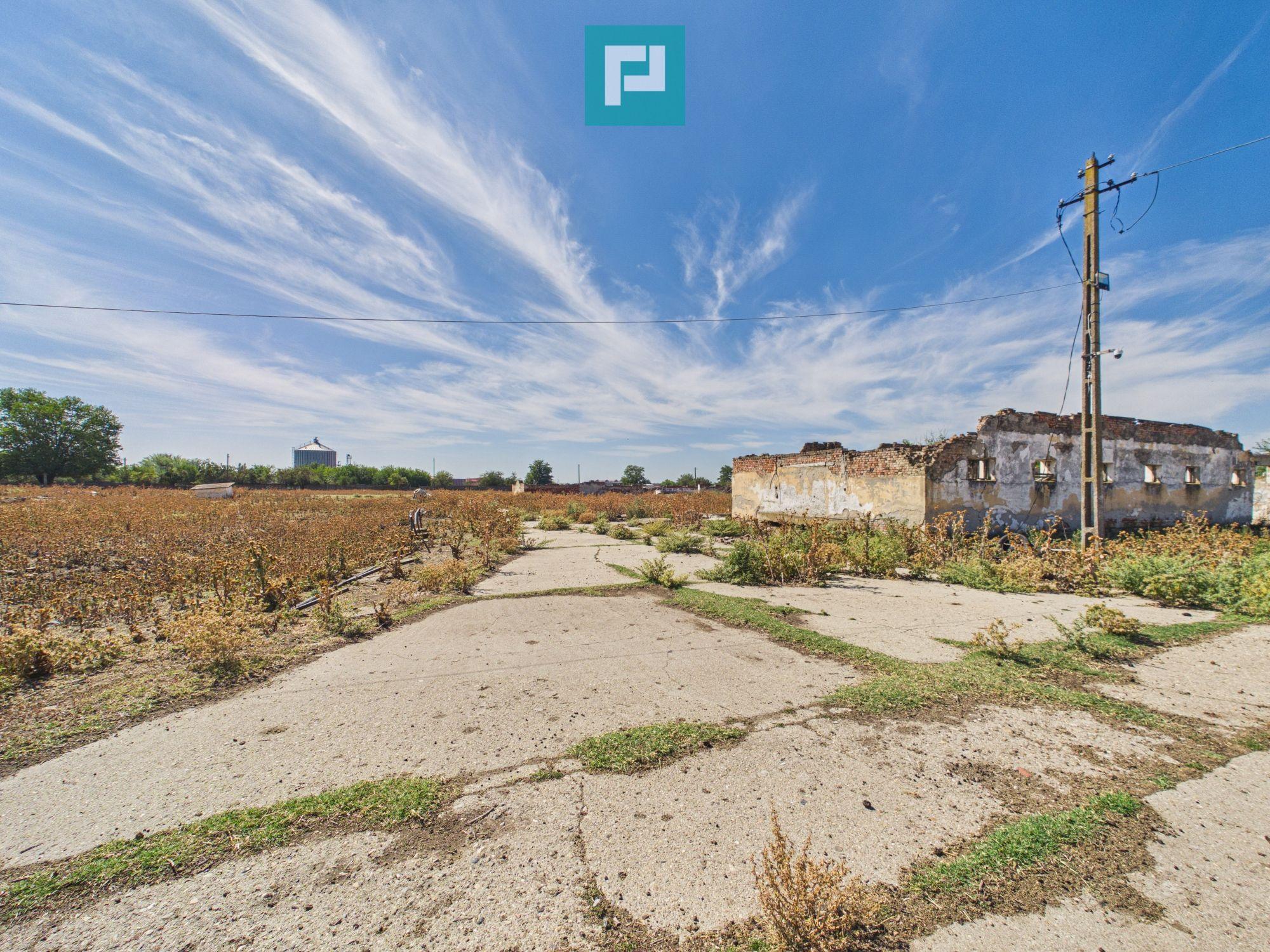 Teren intravilan 146.866 mp | Jimbolia - 9
