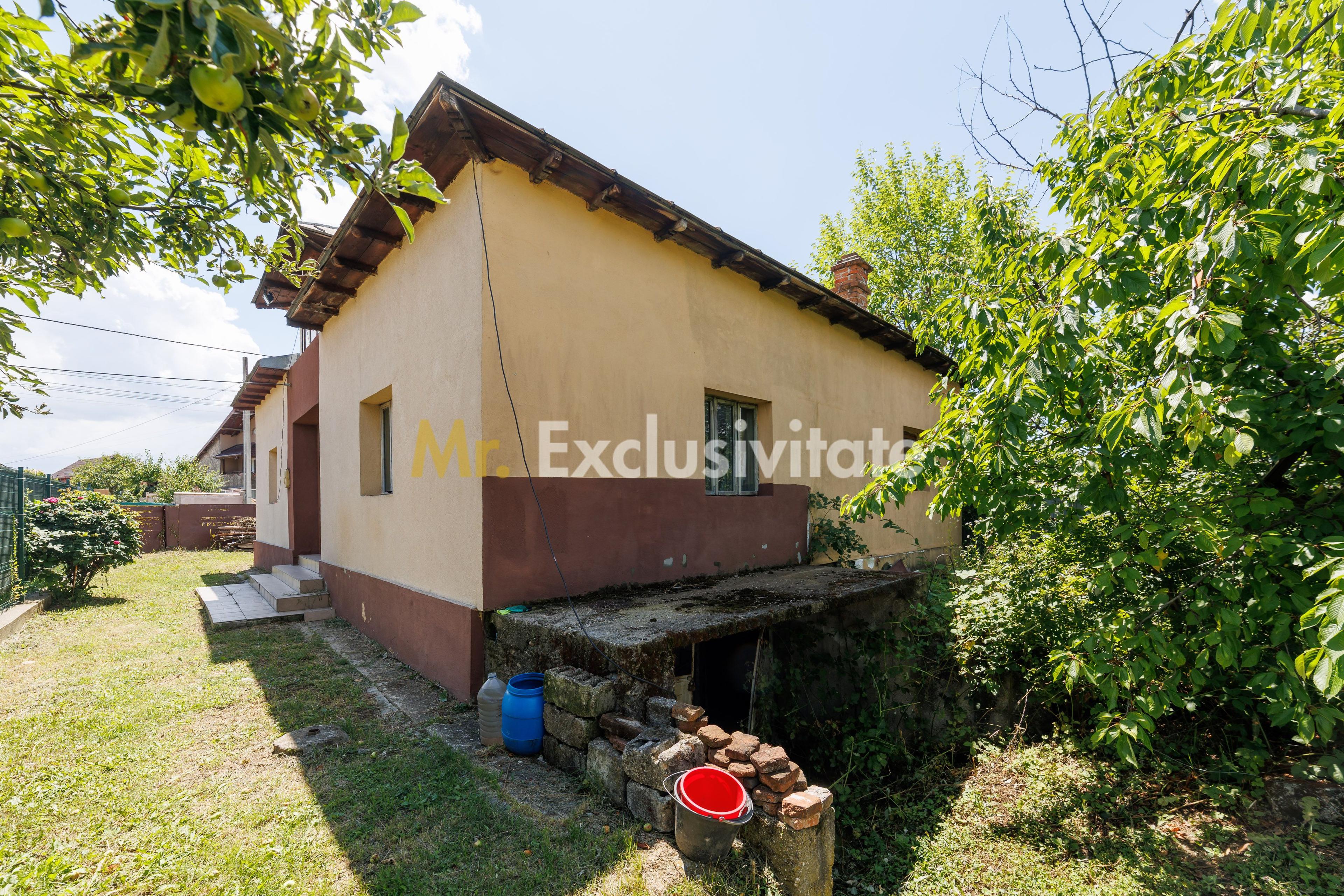 Casa cu teren - Prundu-Ideala pentru locuit sau dezvoltare imobiliara - 13