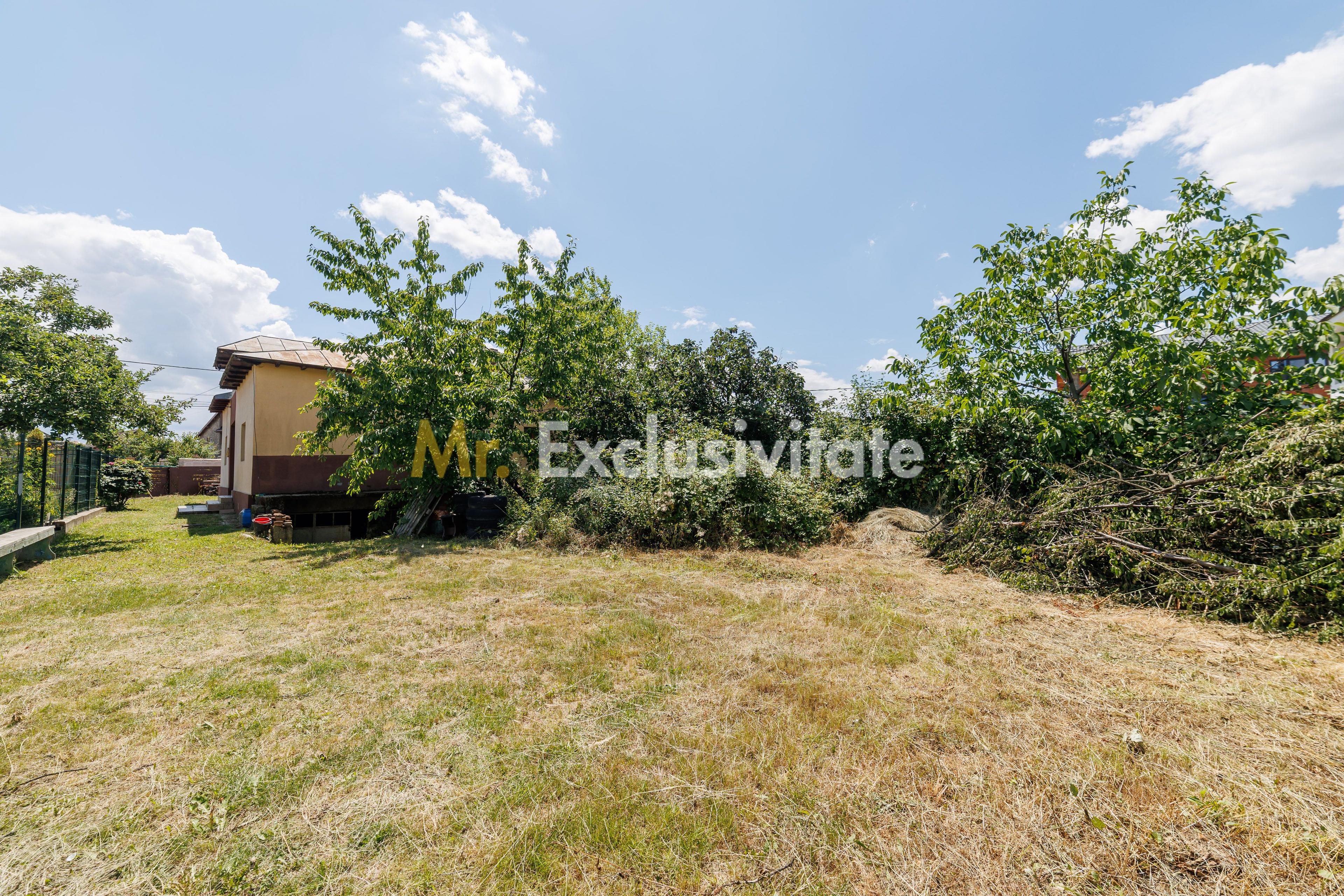 Casa cu teren - Prundu-Ideala pentru locuit sau dezvoltare imobiliara - 16