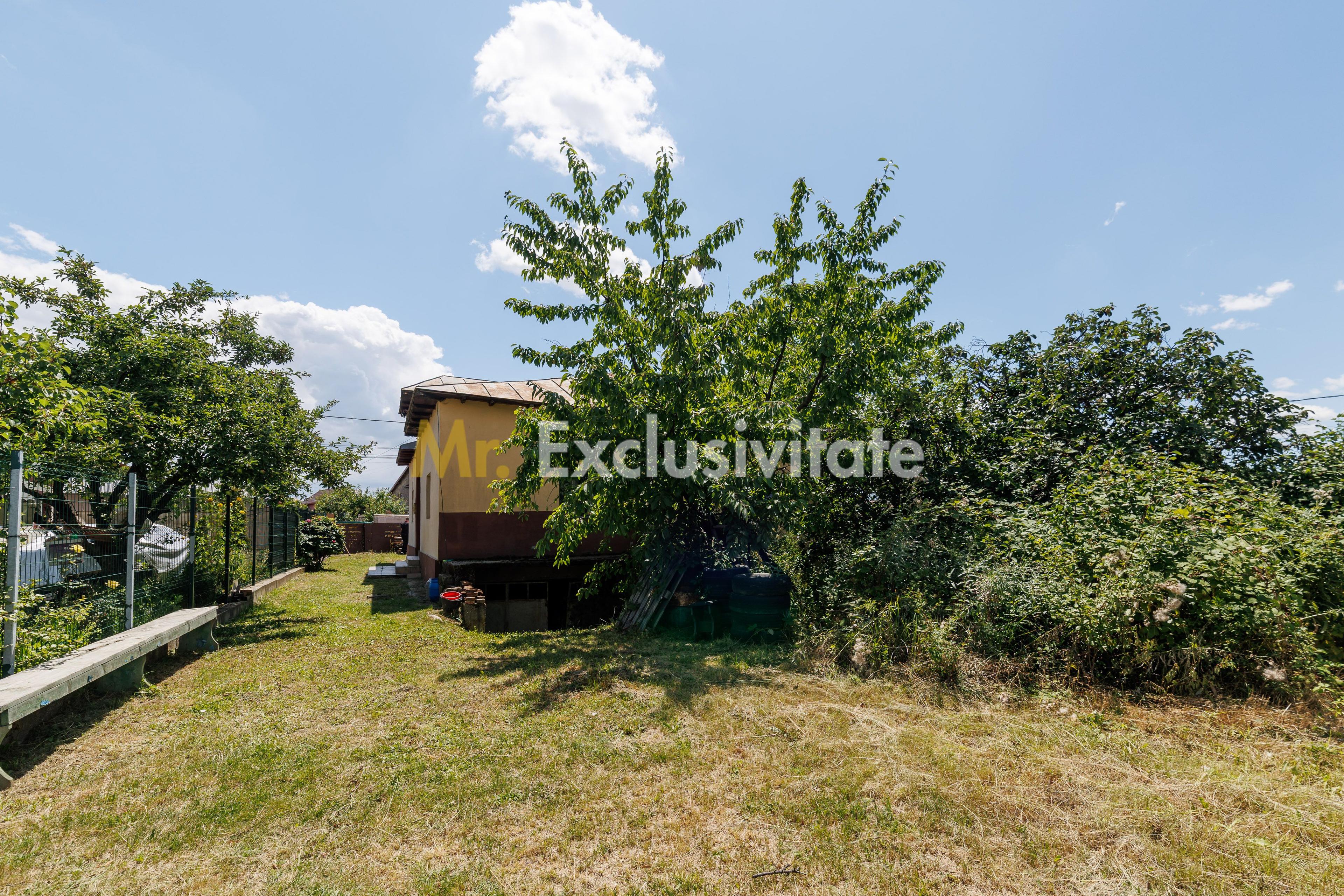 Casa cu teren - Prundu-Ideala pentru locuit sau dezvoltare imobiliara - 14