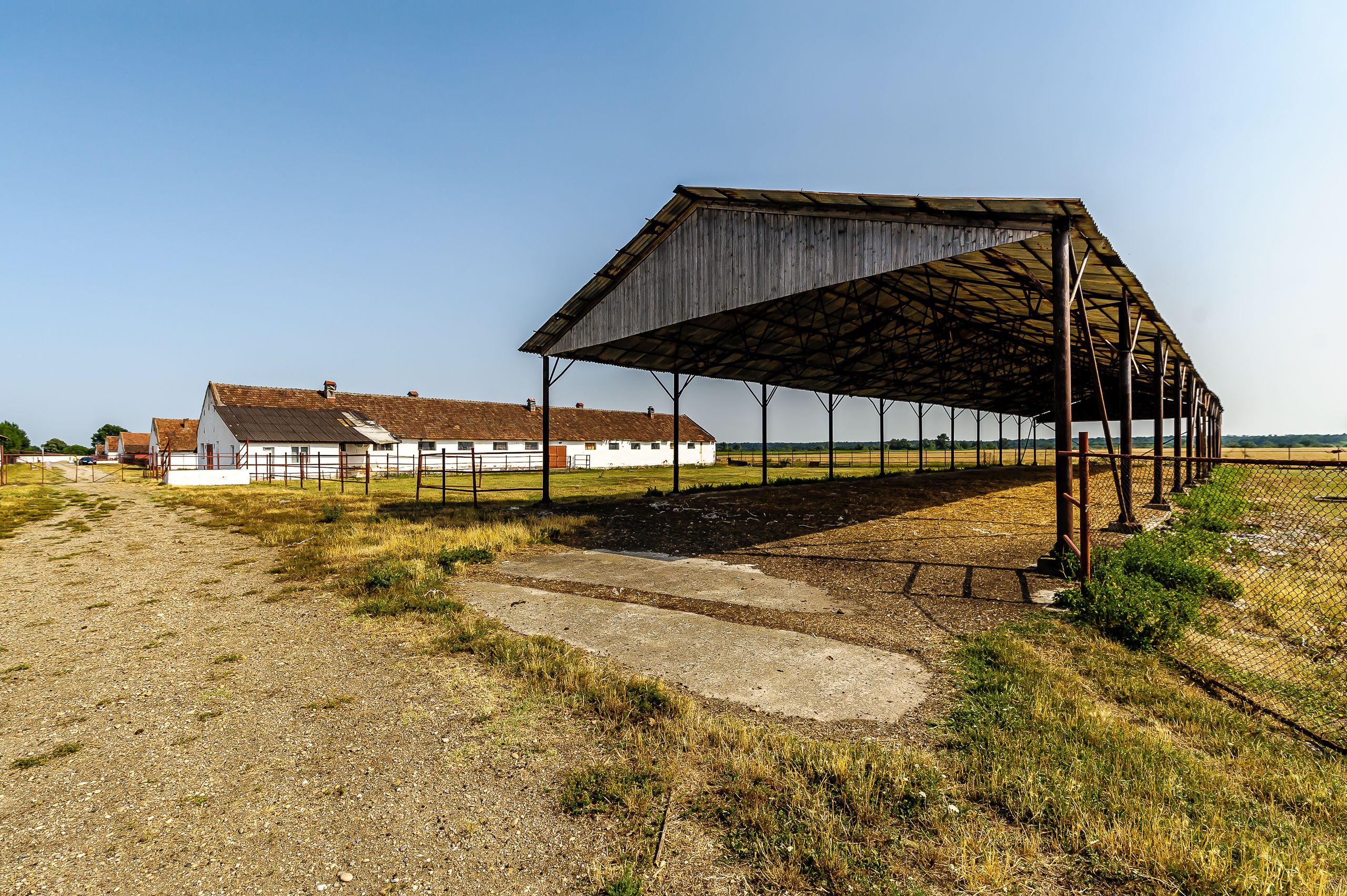Fermă Mândruloc 2,5 ha - 11