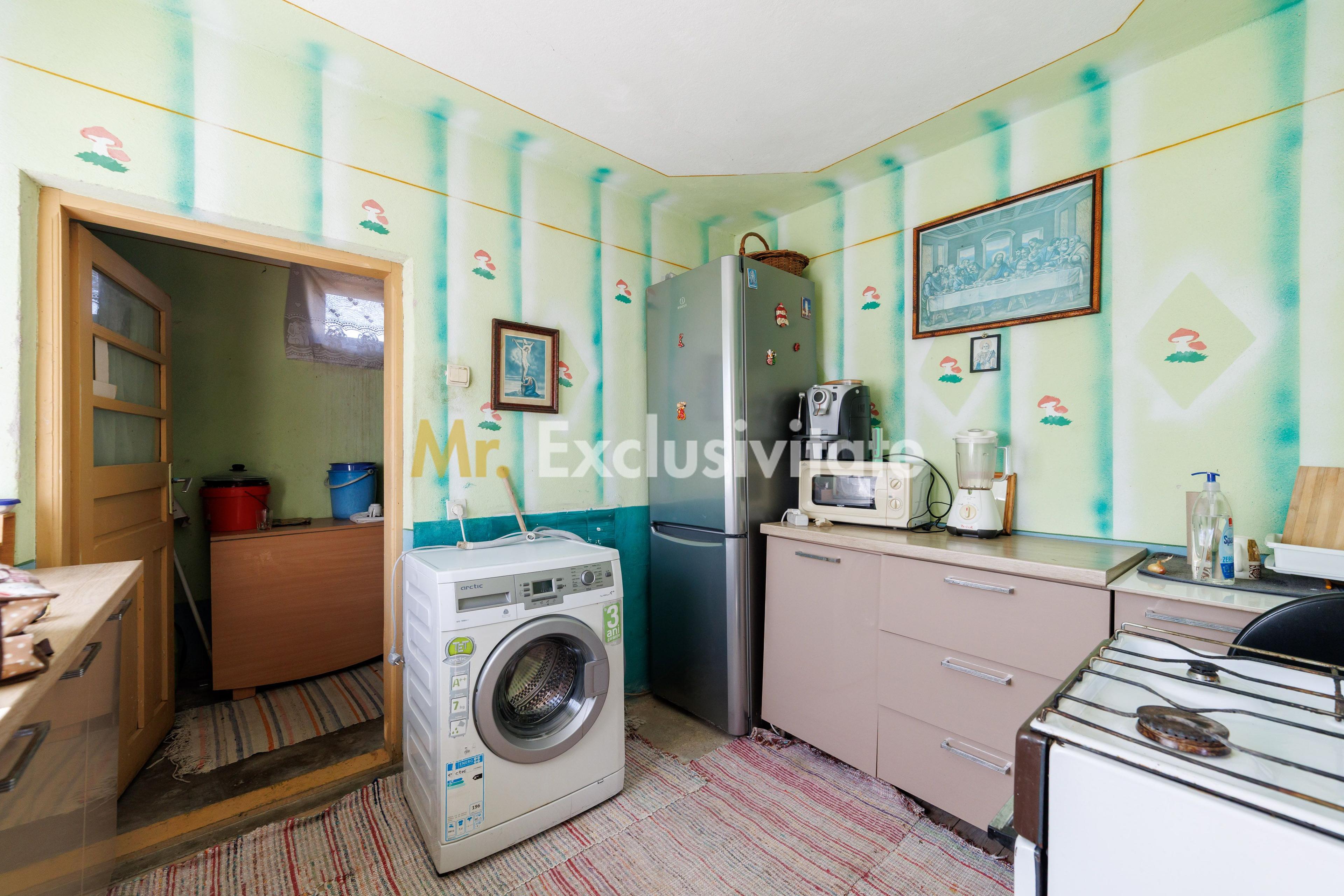 CASA SI GOSPODARIE DE VANZARE – SPINENI, OLT | 4.000 MP TEREN - 5
