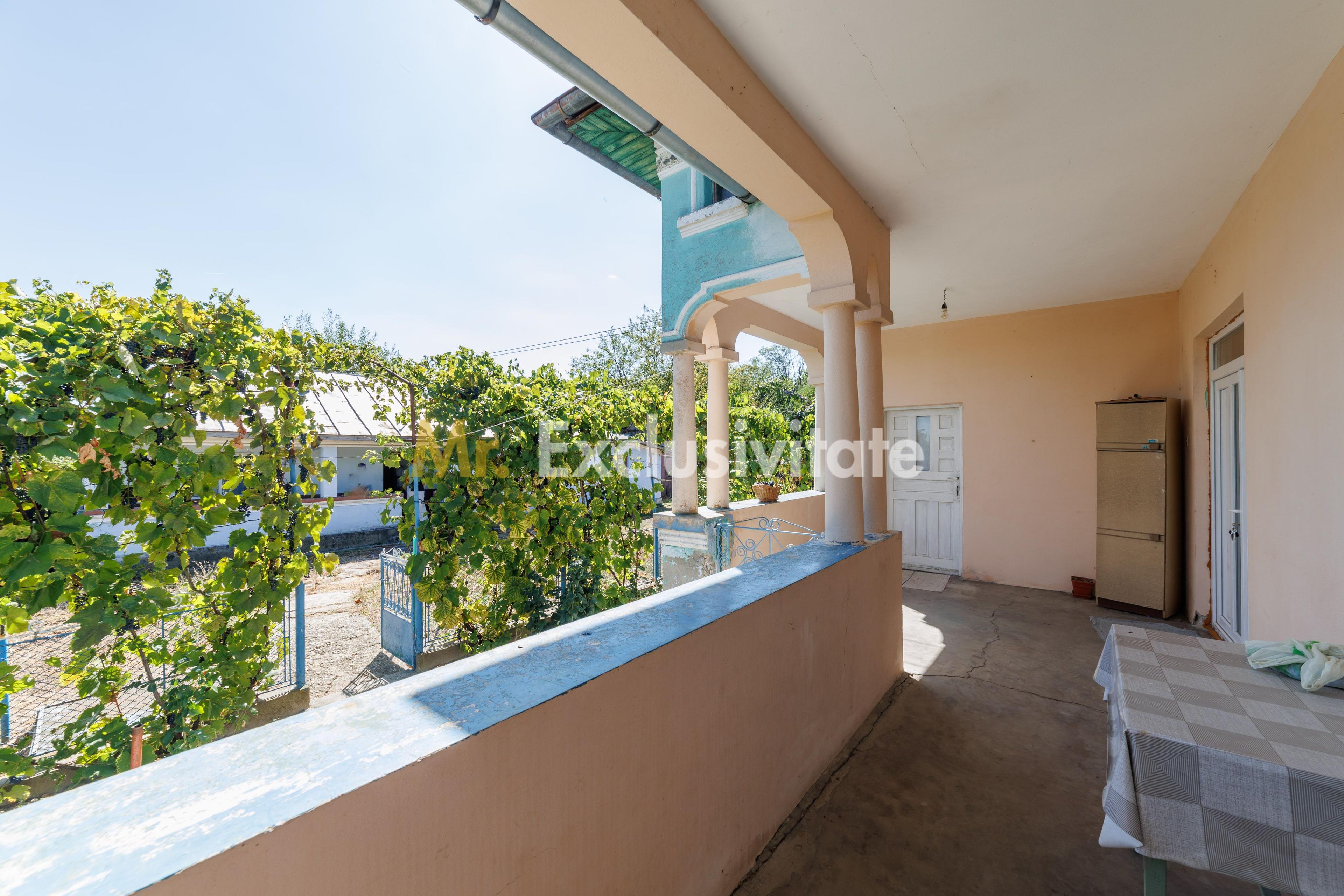 CASA SI GOSPODARIE DE VANZARE – SPINENI, OLT | 4.000 MP TEREN - 2