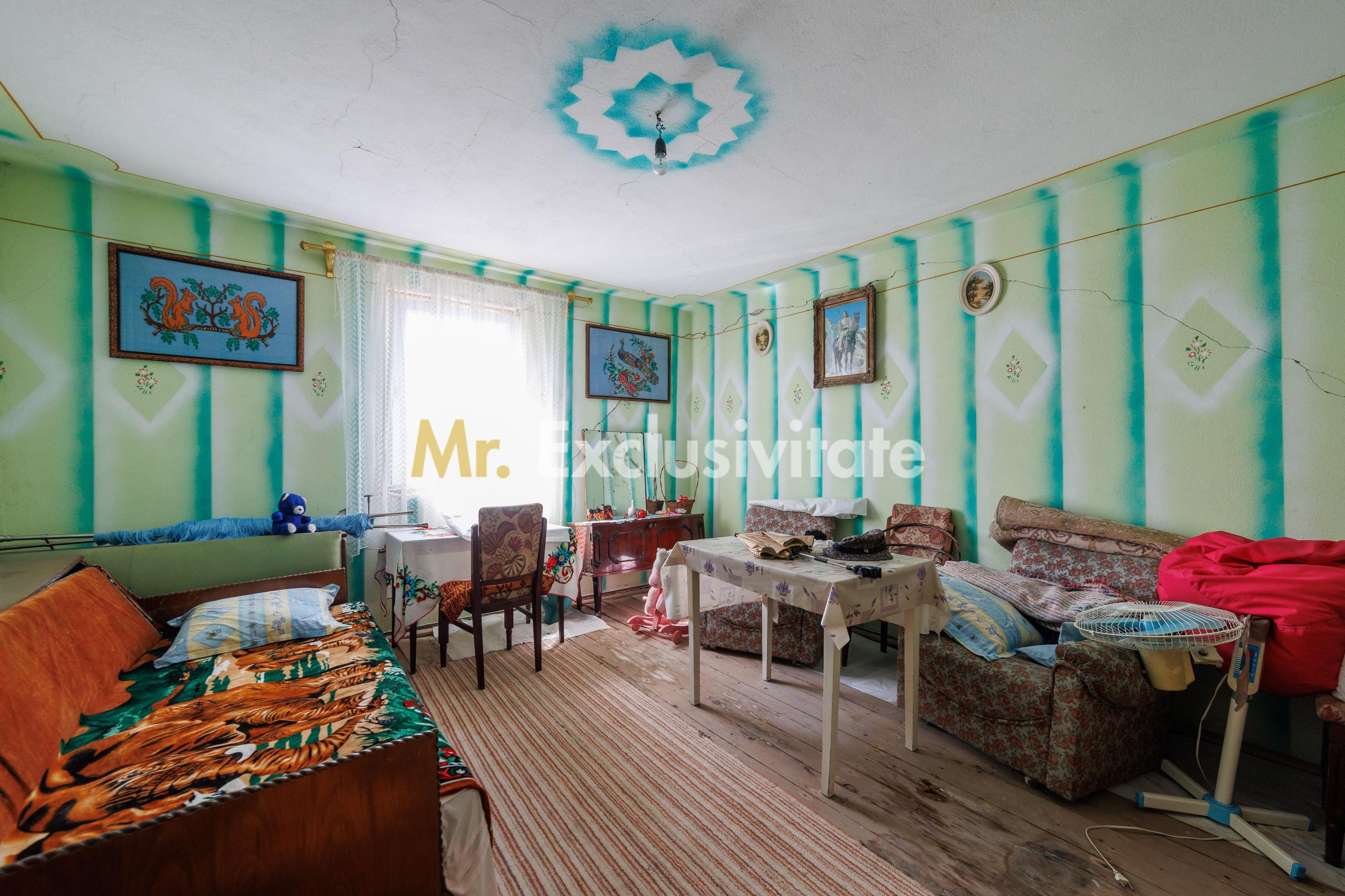 CASA SI GOSPODARIE DE VANZARE – SPINENI, OLT | 4.000 MP TEREN - 9