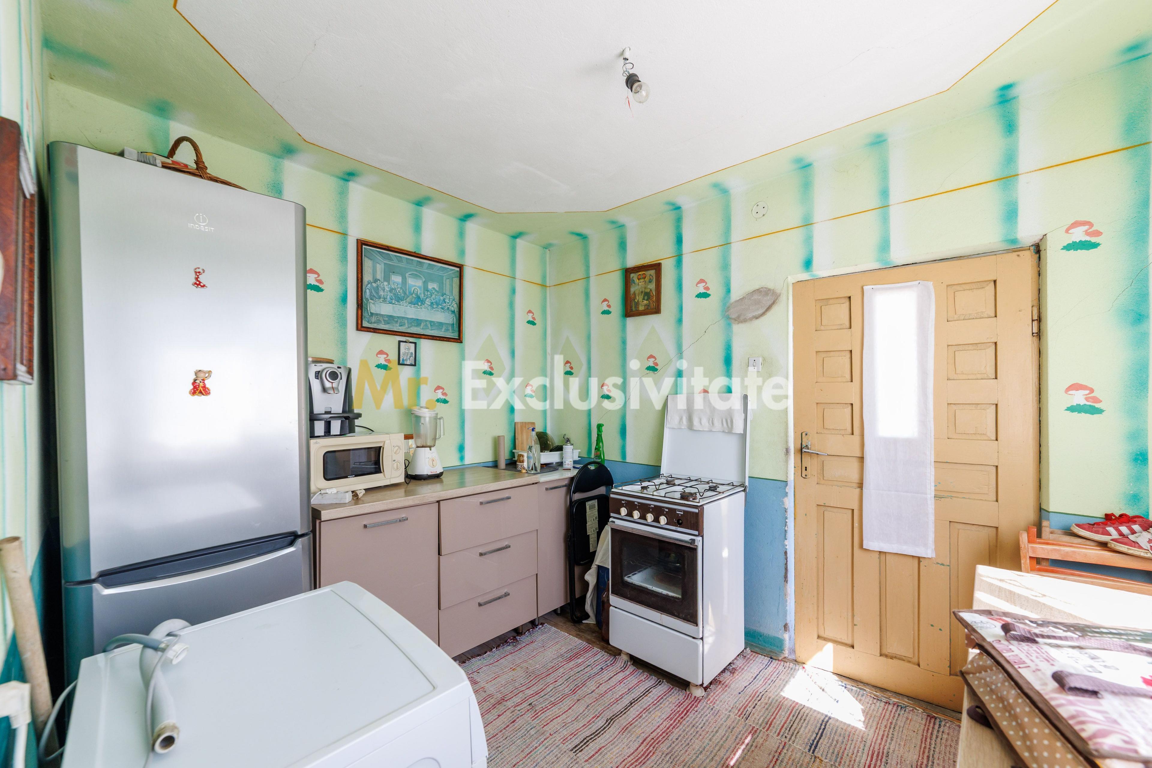 CASA SI GOSPODARIE DE VANZARE – SPINENI, OLT | 4.000 MP TEREN - 4