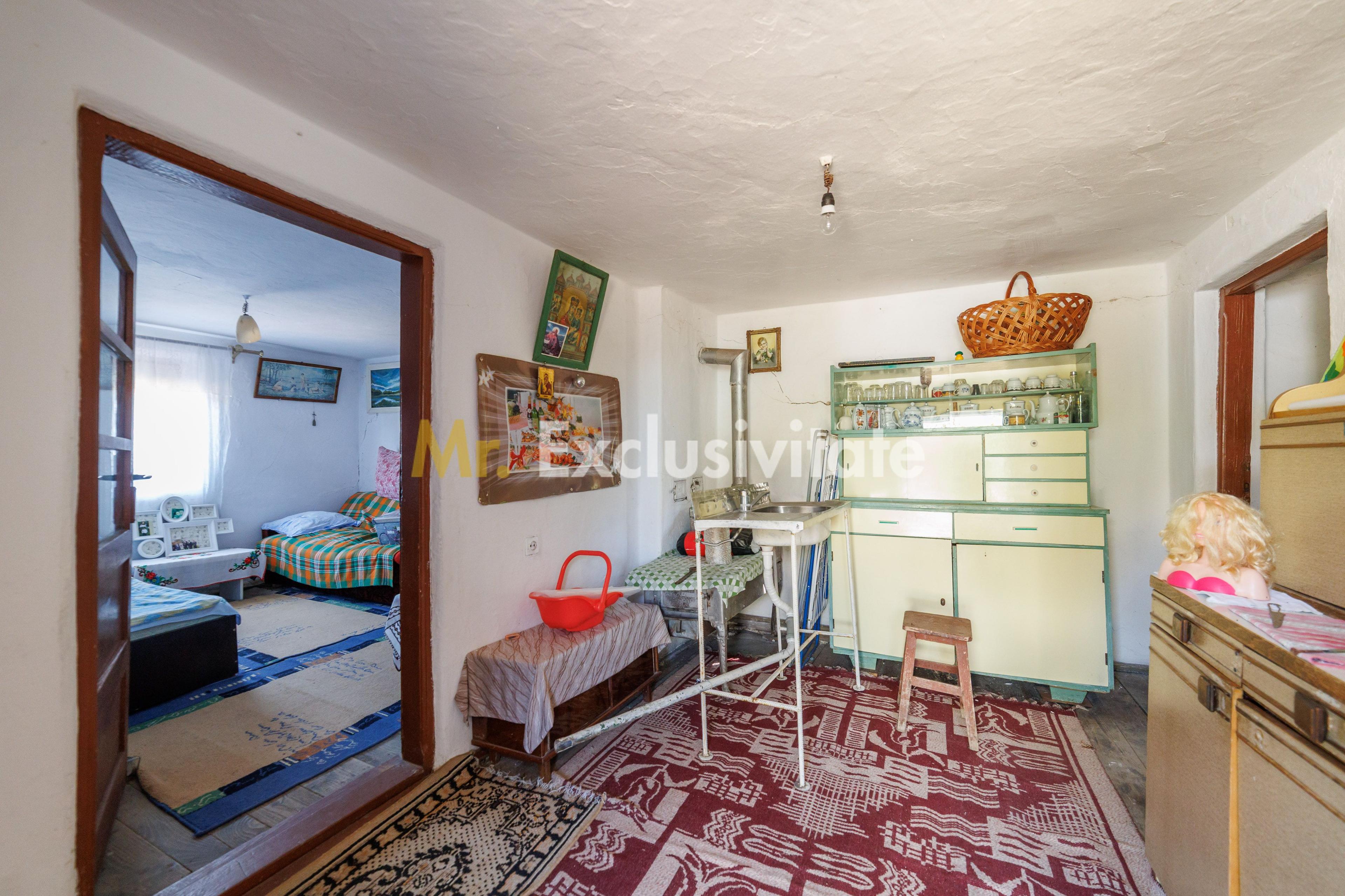 CASA SI GOSPODARIE DE VANZARE – SPINENI, OLT | 4.000 MP TEREN - 10