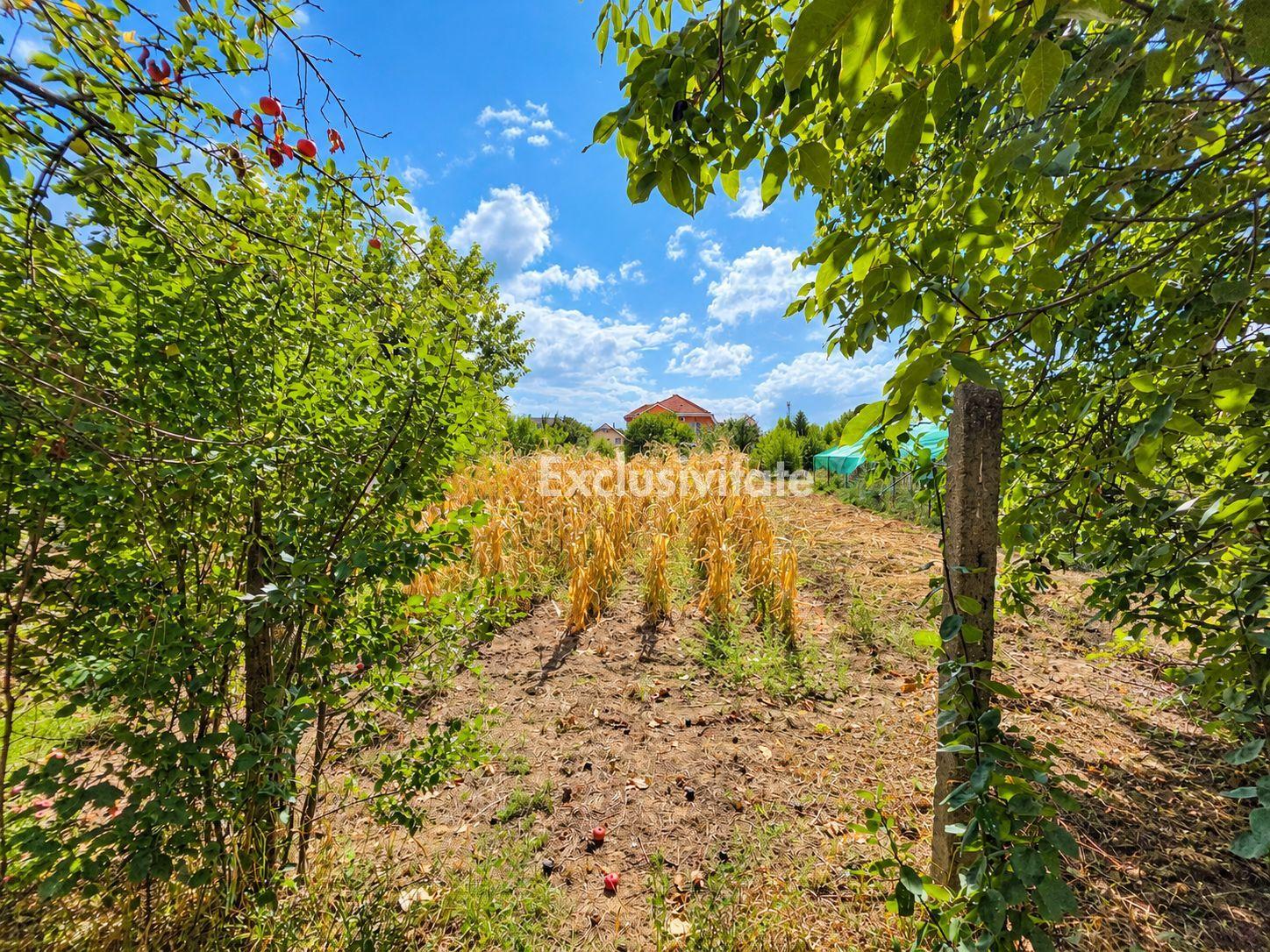 Casă de Vanzare, Str.Bradului,Nr.68,Satu Mare - 5