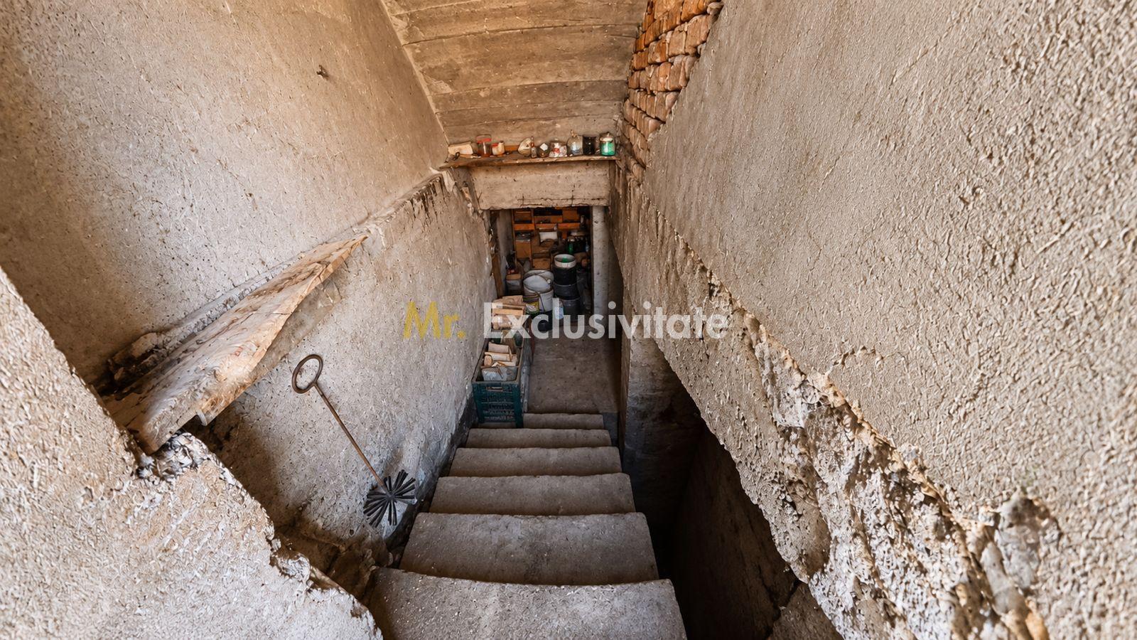 Casă de vânzare 1 Iunie Satu Mare - 28