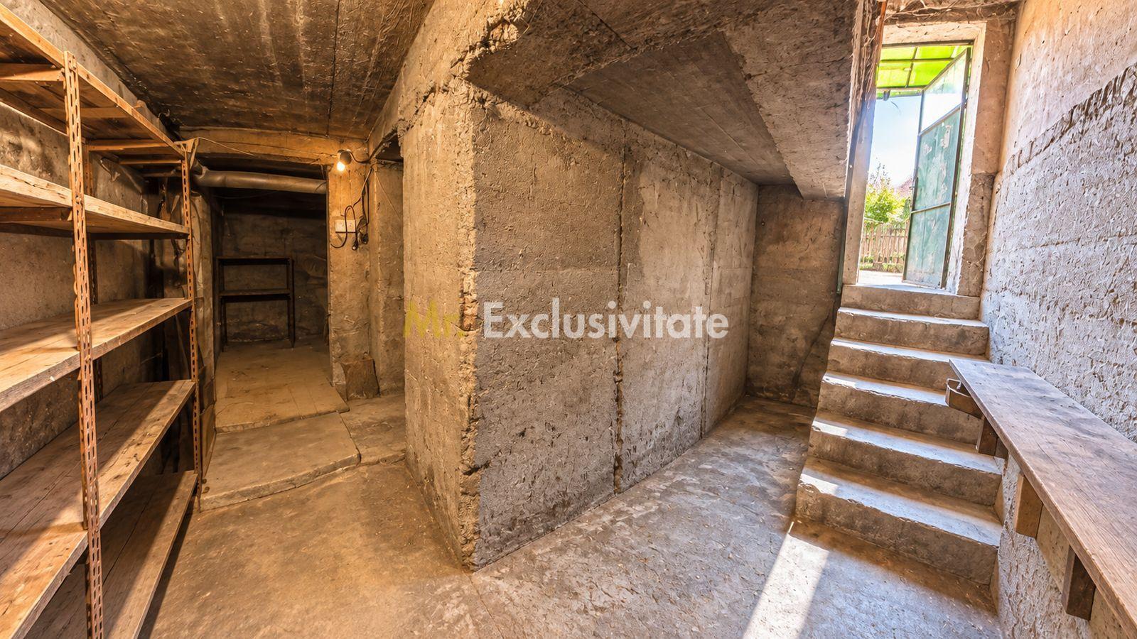 Casă de vânzare 1 Iunie Satu Mare - 4