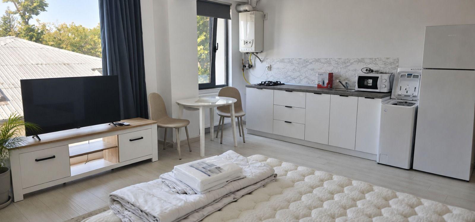 De inchiriat studio ultracentral, etaj 2, 400 euro - 5