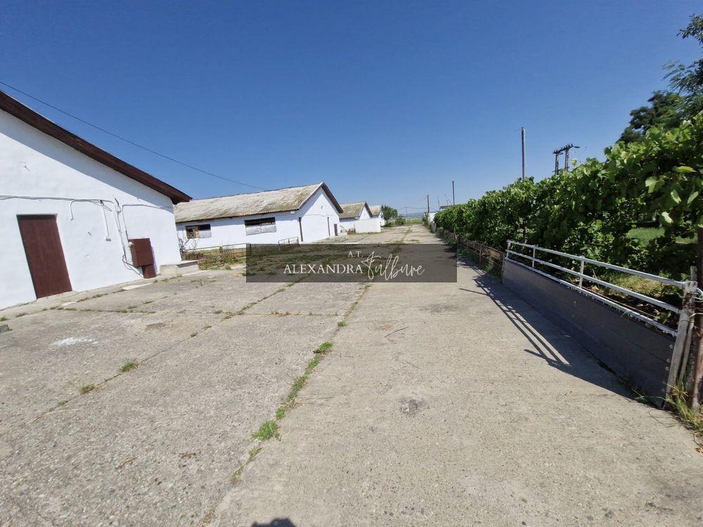 Teren 43884 mp intravilan, 4 hale 6000 mp, nod autostrada, Bogata - 2