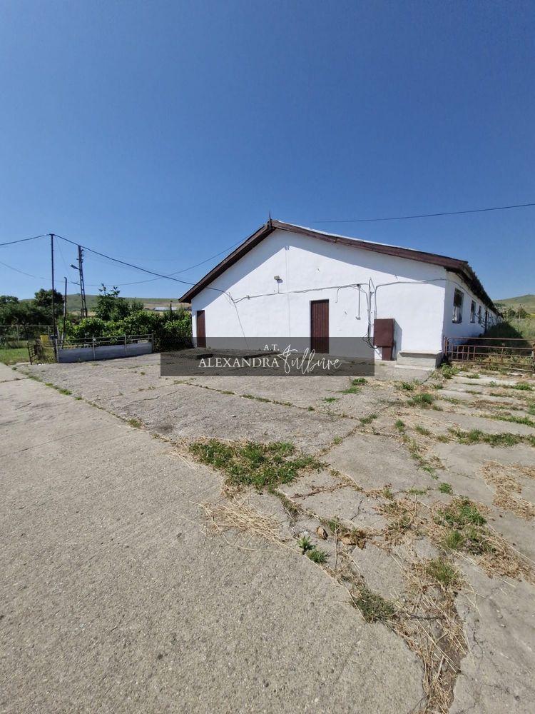 Teren 43884 mp intravilan, 4 hale 6000 mp, nod autostrada, Bogata - 3