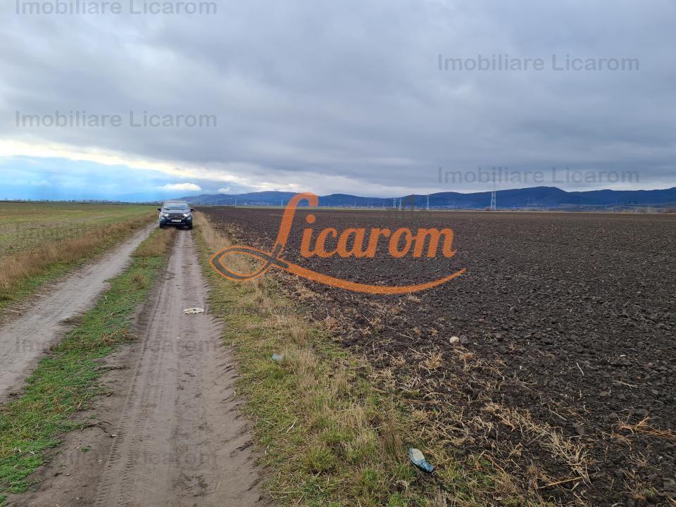 Teren extravilan 2,9 HA,intre Cristian si Vulcan - 1