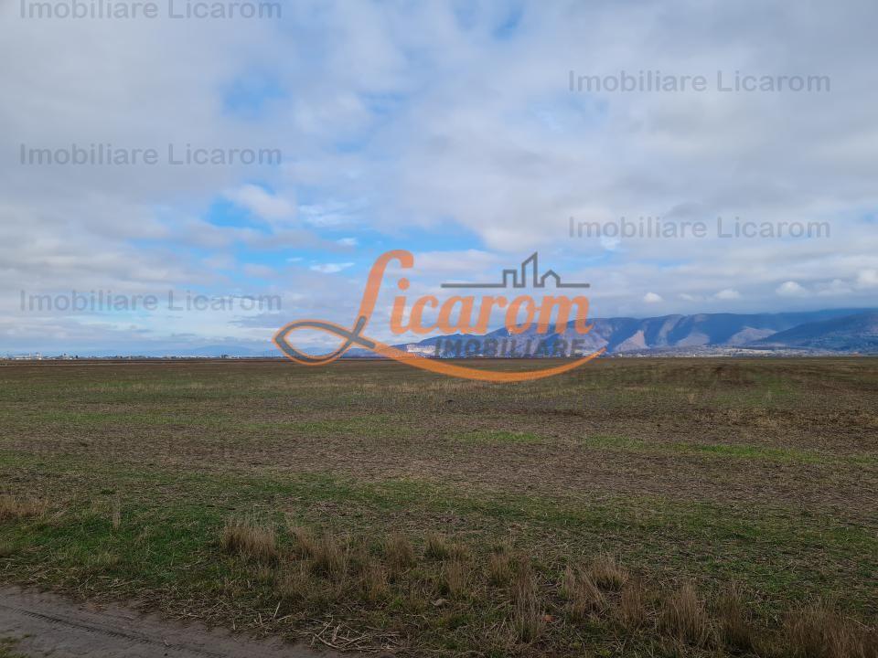 Teren extravilan 2,9 HA,intre Cristian si Vulcan - 5