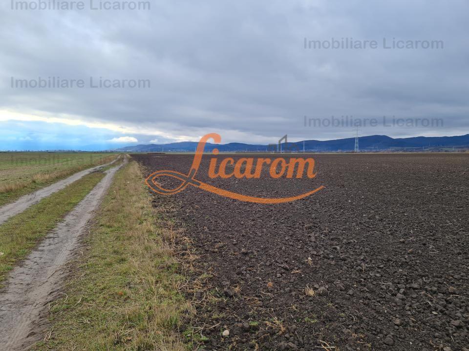 Teren extravilan 2,9 HA,intre Cristian si Vulcan - 6