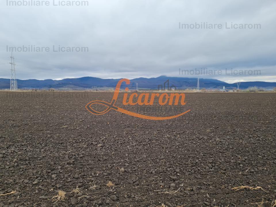 Teren extravilan 2,9 HA,intre Cristian si Vulcan - 3