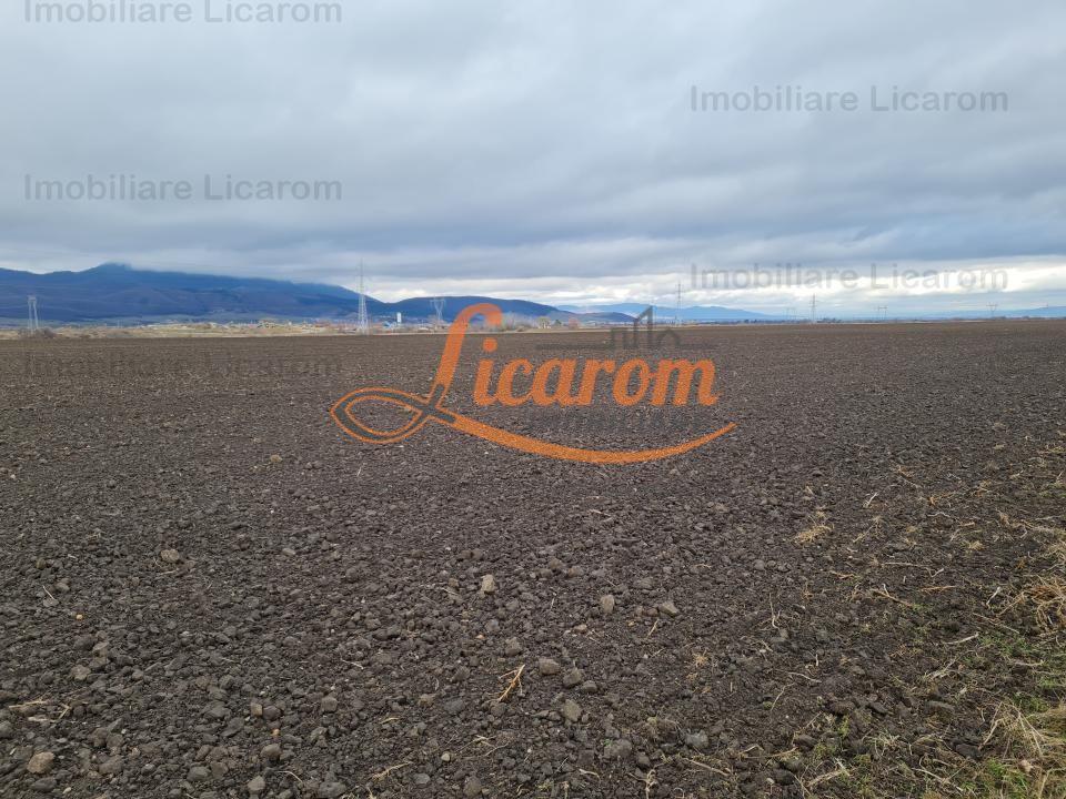 Teren extravilan 2,9 HA,intre Cristian si Vulcan - 4