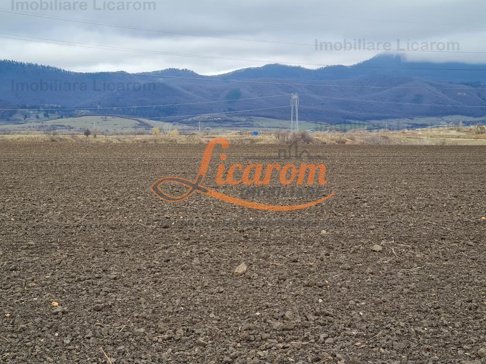 Teren extravilan 2,9 HA,intre Cristian si Vulcan - 2