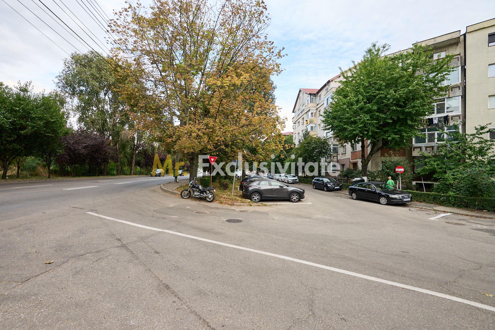 Apartament modern cu 2 camere și mansardă - Eremia Grigorescu - 8