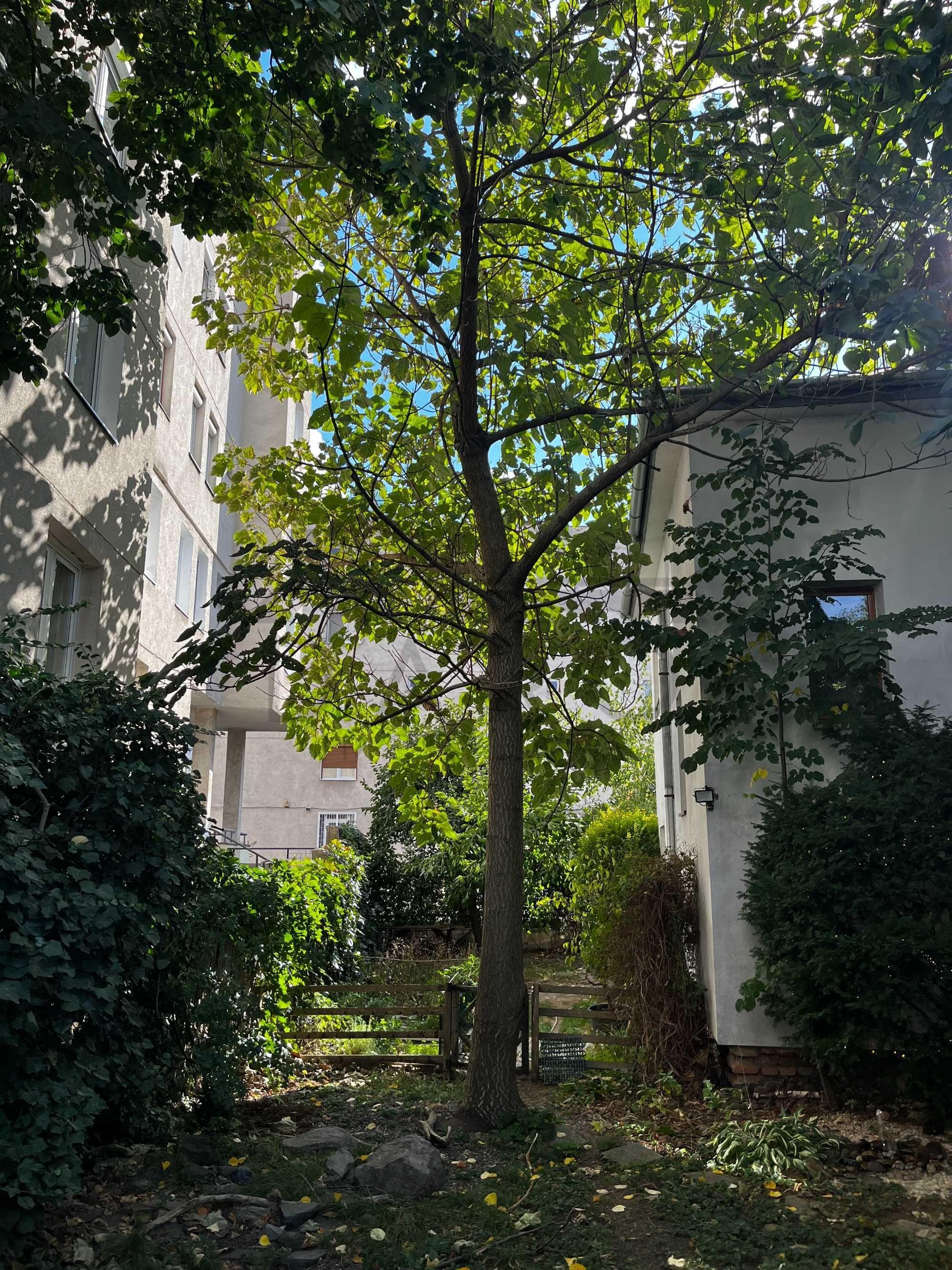 Casa individuala de vanzare aproape de centru - 3