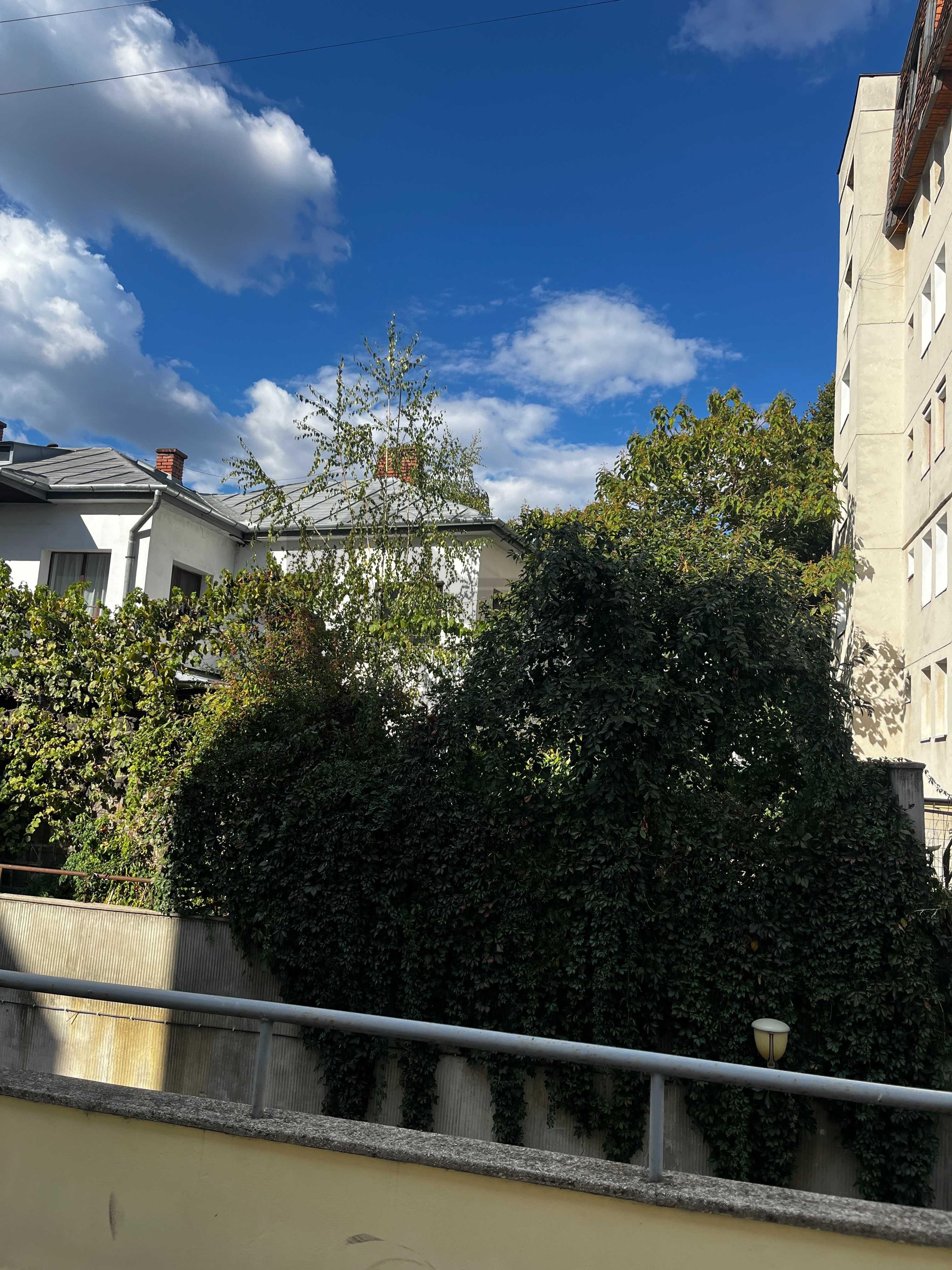 Casa individuala de vanzare aproape de centru - 1