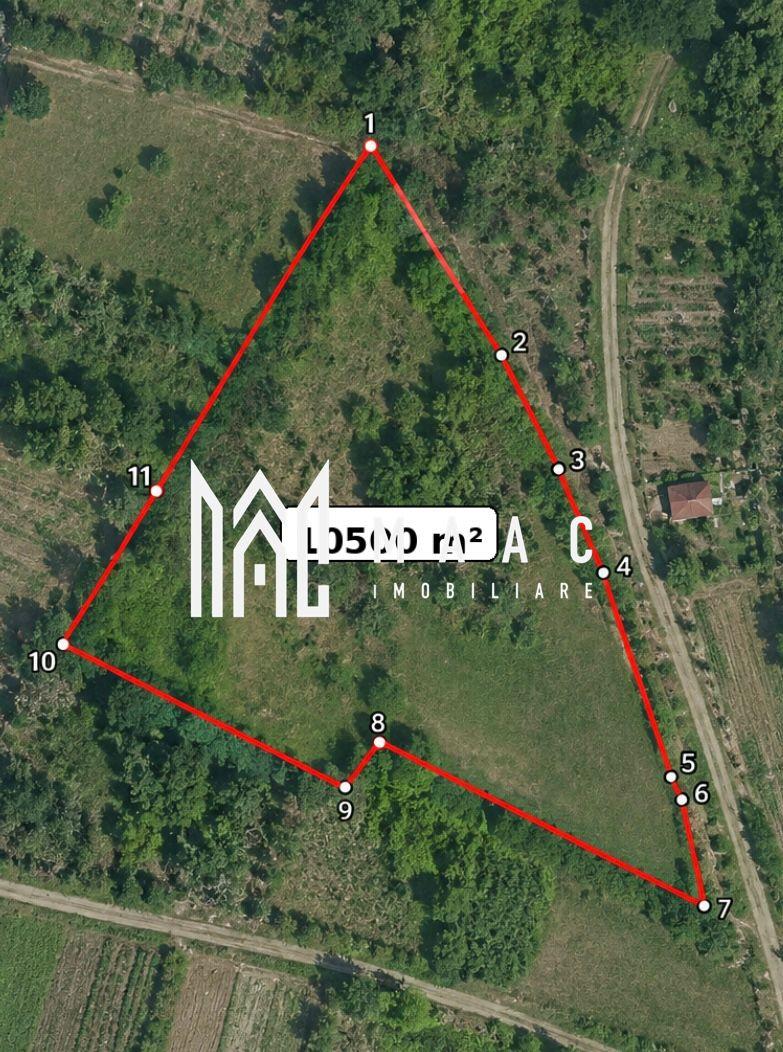 Teren 10500MPU I Daia I Acces 2 drumuri I Ideal Construcții I Cabana - 2