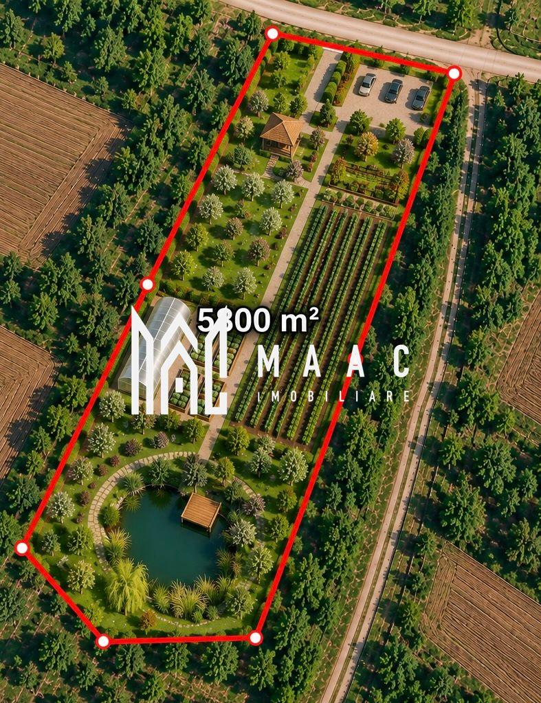 Teren 5800MPU I Acces drum I Ideal Construcție I Zona retrasă I Cabana - 1