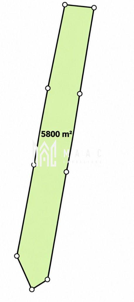 Teren 5800MPU I Arabil I Ideal Cabana I Construcții I Acces drumuri I Daia - 3