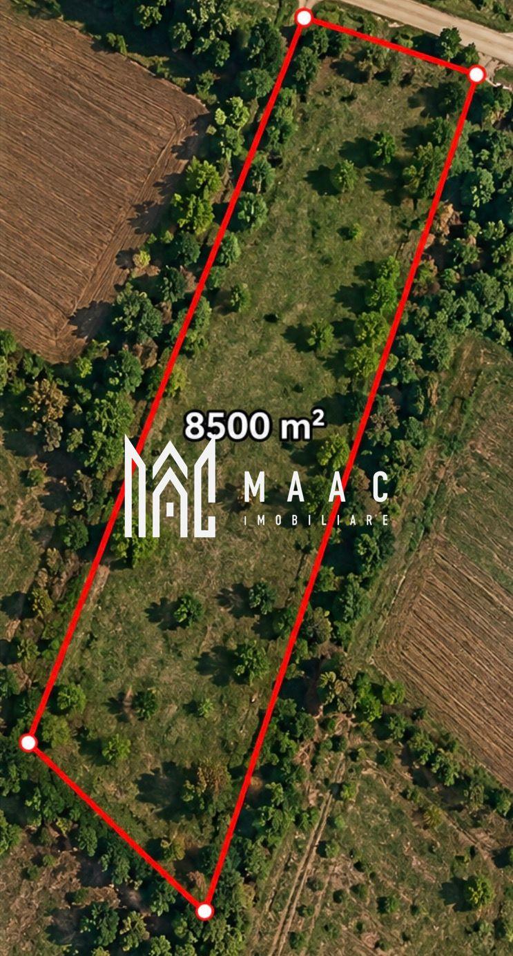 Teren 8500MPU I Ideal Cabana I Construcții I Acces 2 drumuri - 2
