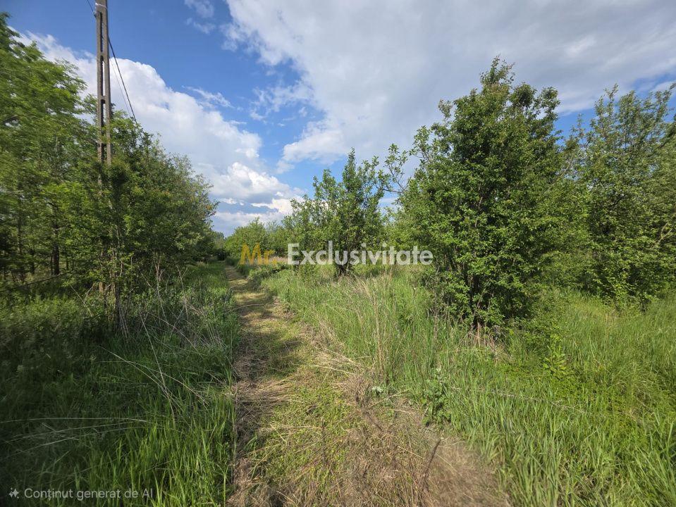 De Vânzare Casă Valea Vinului - 14