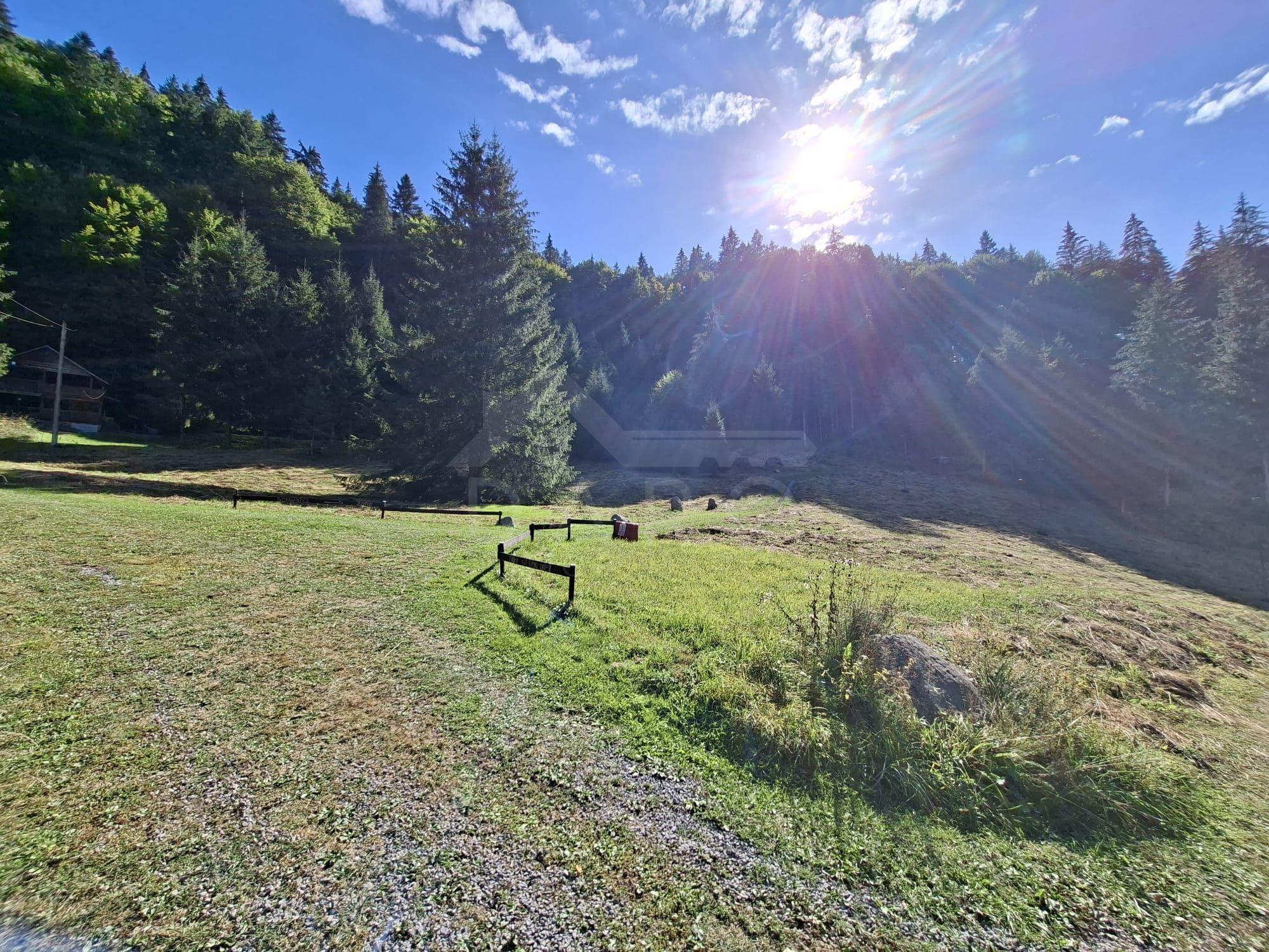 Teren intravilan la munte - 8
