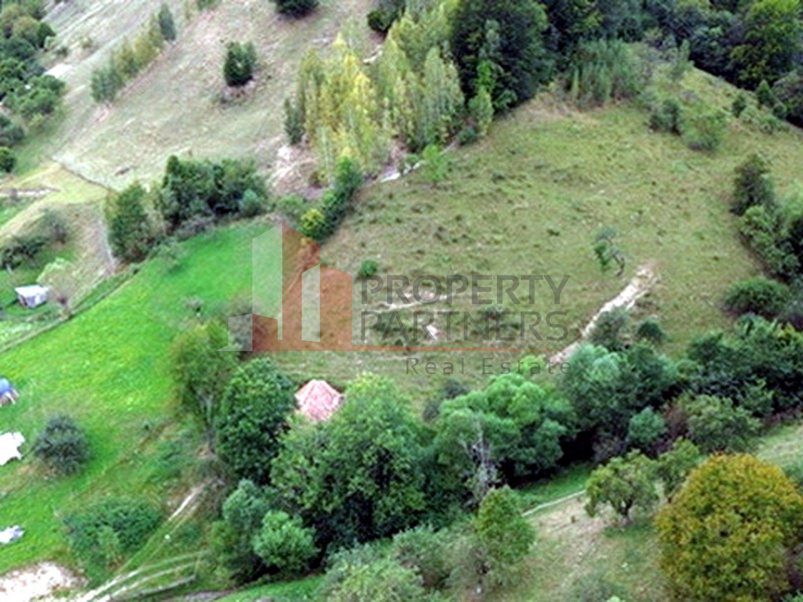 Teren de investiție în Moieciu, lângă Castelul Bran – 11.381 mp, vedere Bucegi - 20