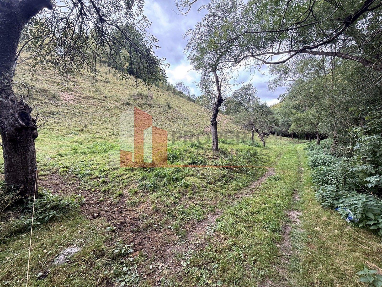 Teren de investiție în Moieciu, lângă Castelul Bran – 11.381 mp, vedere Bucegi - 6