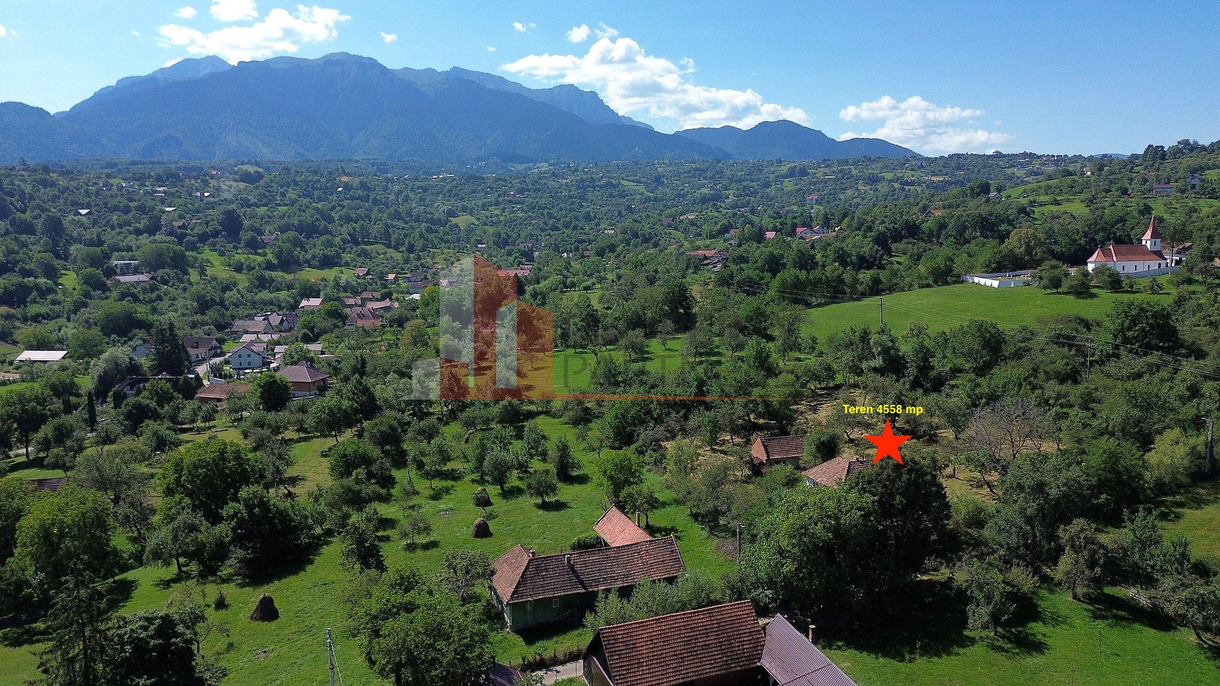 Teren 4558 mp cu casă tradițională, Sohodol, Bran - 5