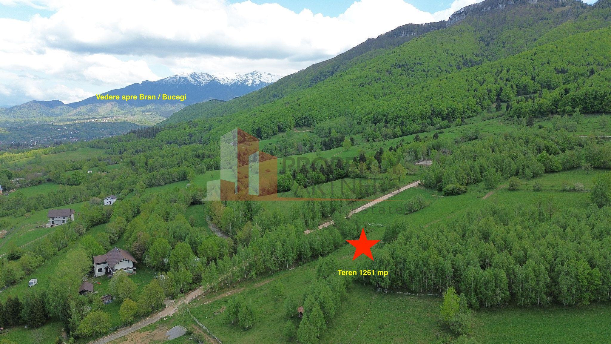 Teren intravilan 5.261 mp Tohănița | Deschidere 49 m | Utilități, lângă pădure - 5