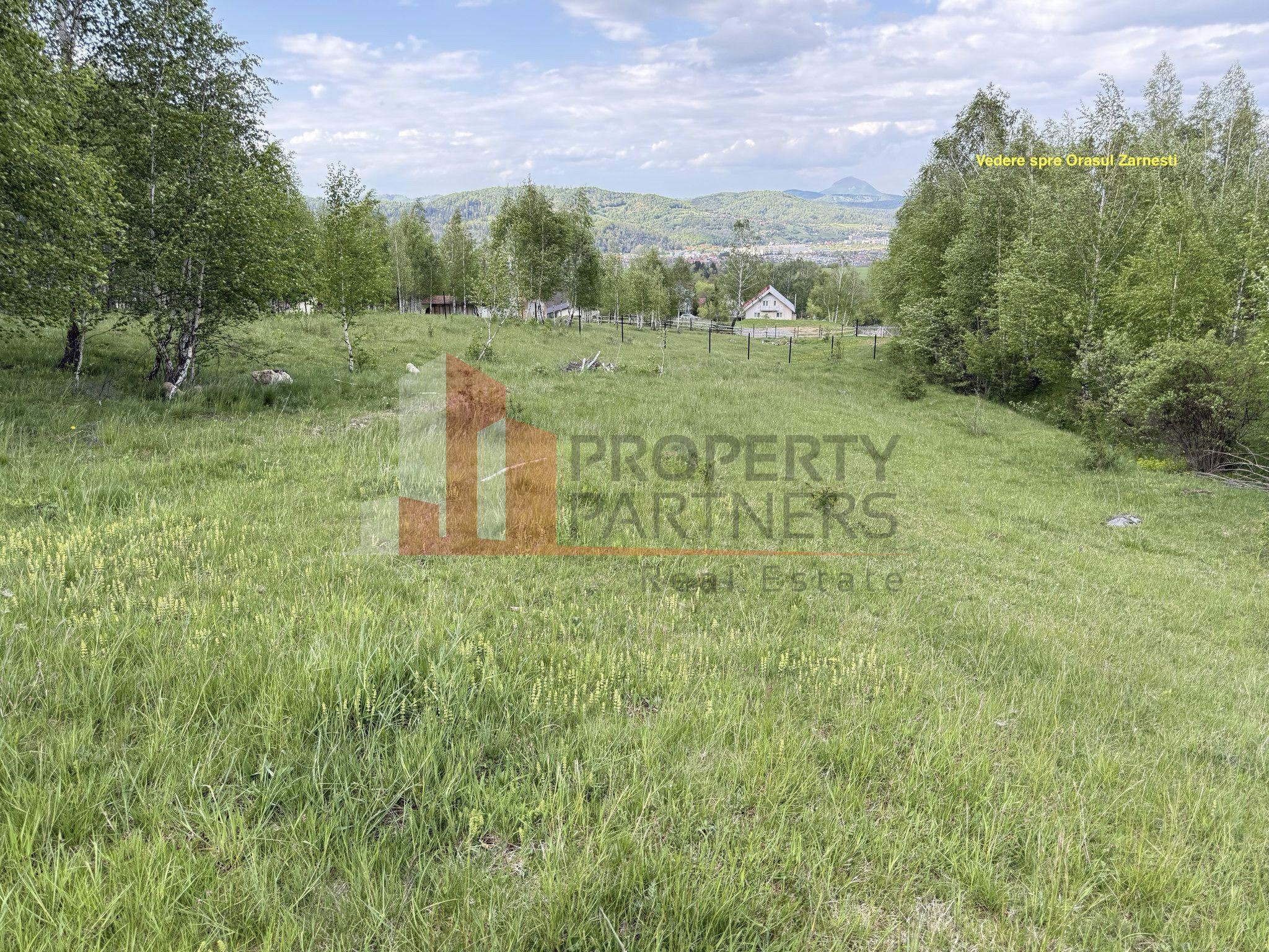 Teren intravilan 5.261 mp Tohănița | Deschidere 49 m | Utilități, lângă pădure - 7