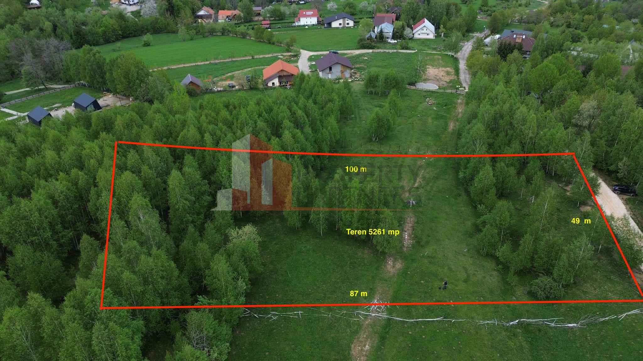Teren intravilan 5.261 mp Tohănița | Deschidere 49 m | Utilități, lângă pădure - 2