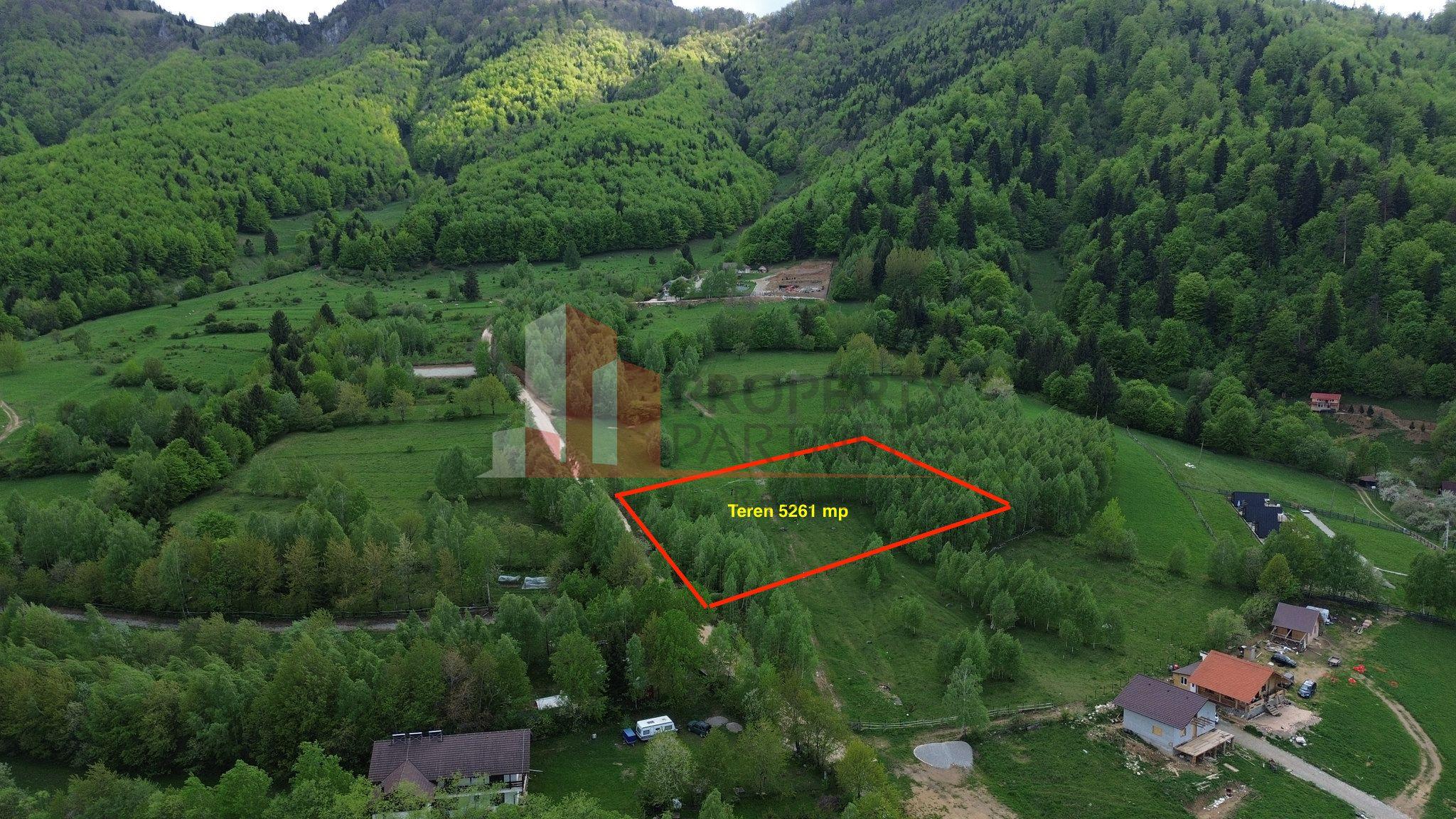 Teren intravilan 5.261 mp Tohănița | Deschidere 49 m | Utilități, lângă pădure - 1