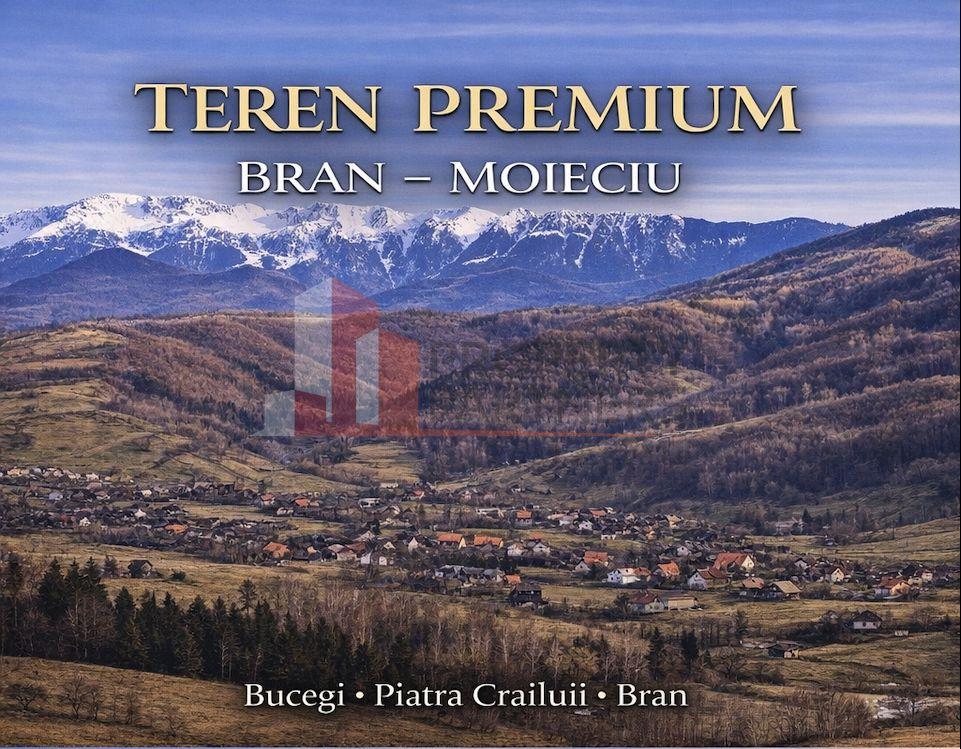 Teren Bran | 3.520 mp | Vedere Bucegi & Castelul Bran - 1