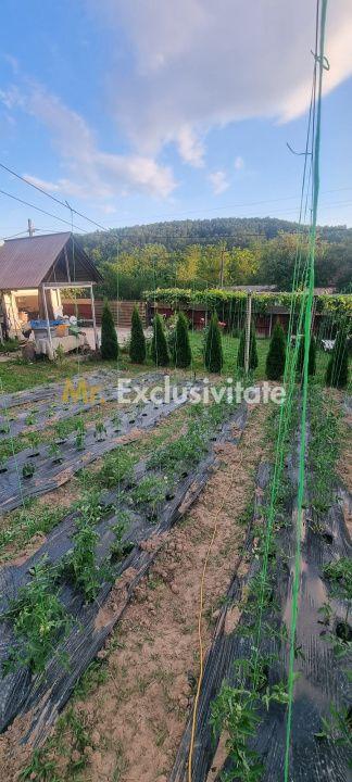 Casă P+M cu 1.558 mp teren, livadă și garaj - 8