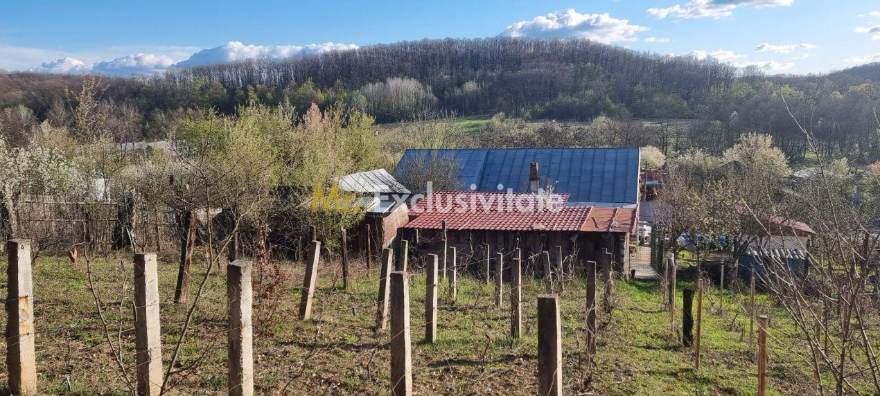 Casă P+M cu 1.558 mp teren, livadă și garaj - 15