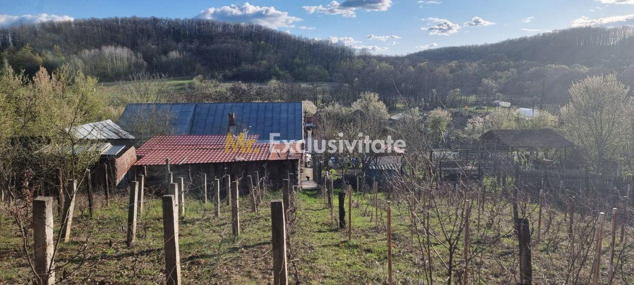 Casă P+M cu 1.558 mp teren, livadă și garaj - 18